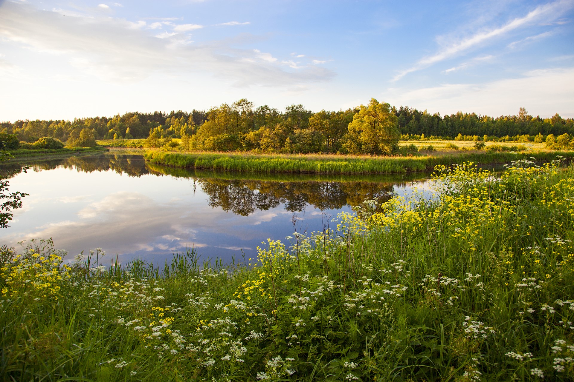 River landscape with trees and flowers in Russia HD Wallpaper