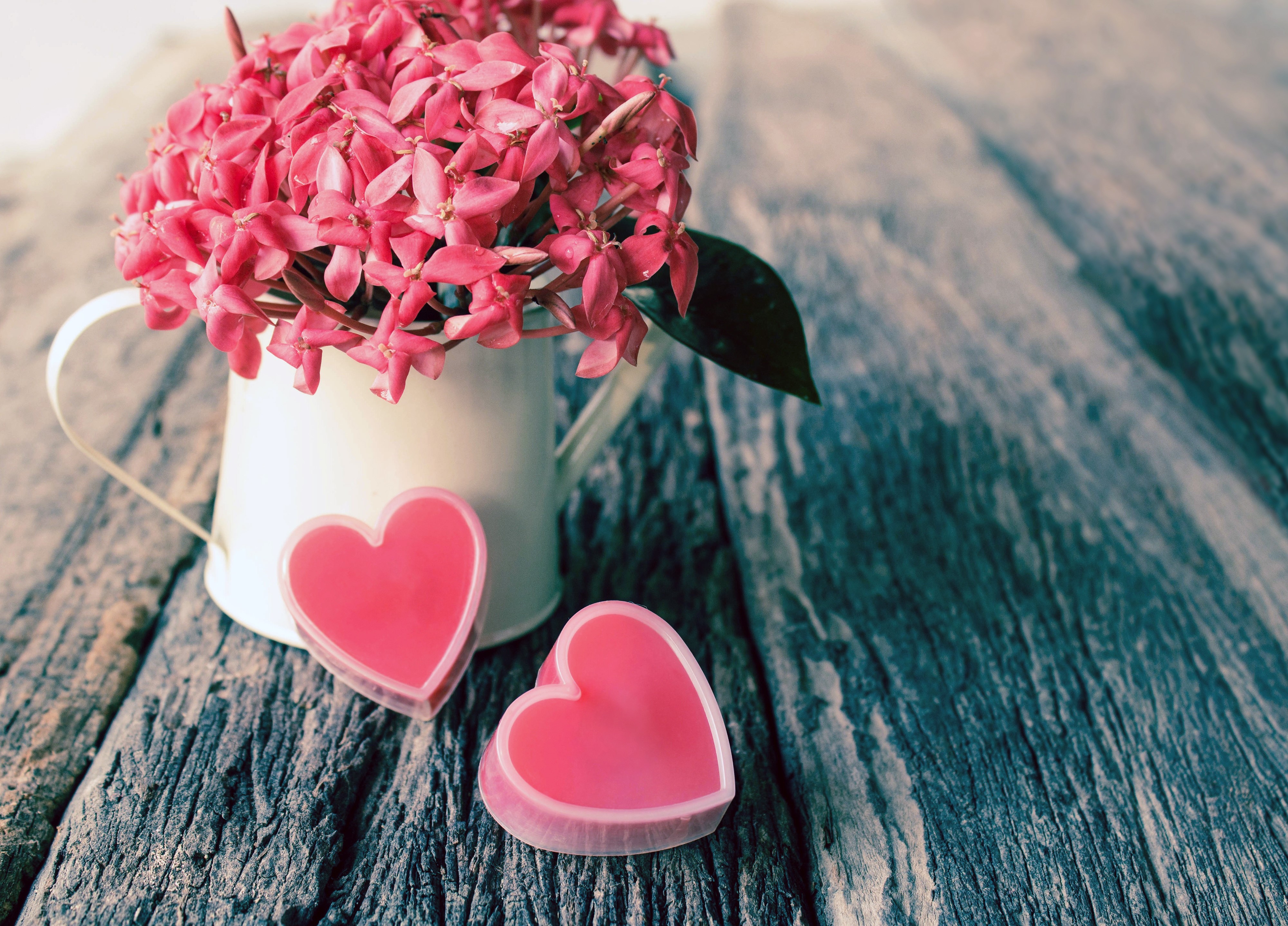 Pink Flowers in Watering Can with Hearts HD Wallpaper