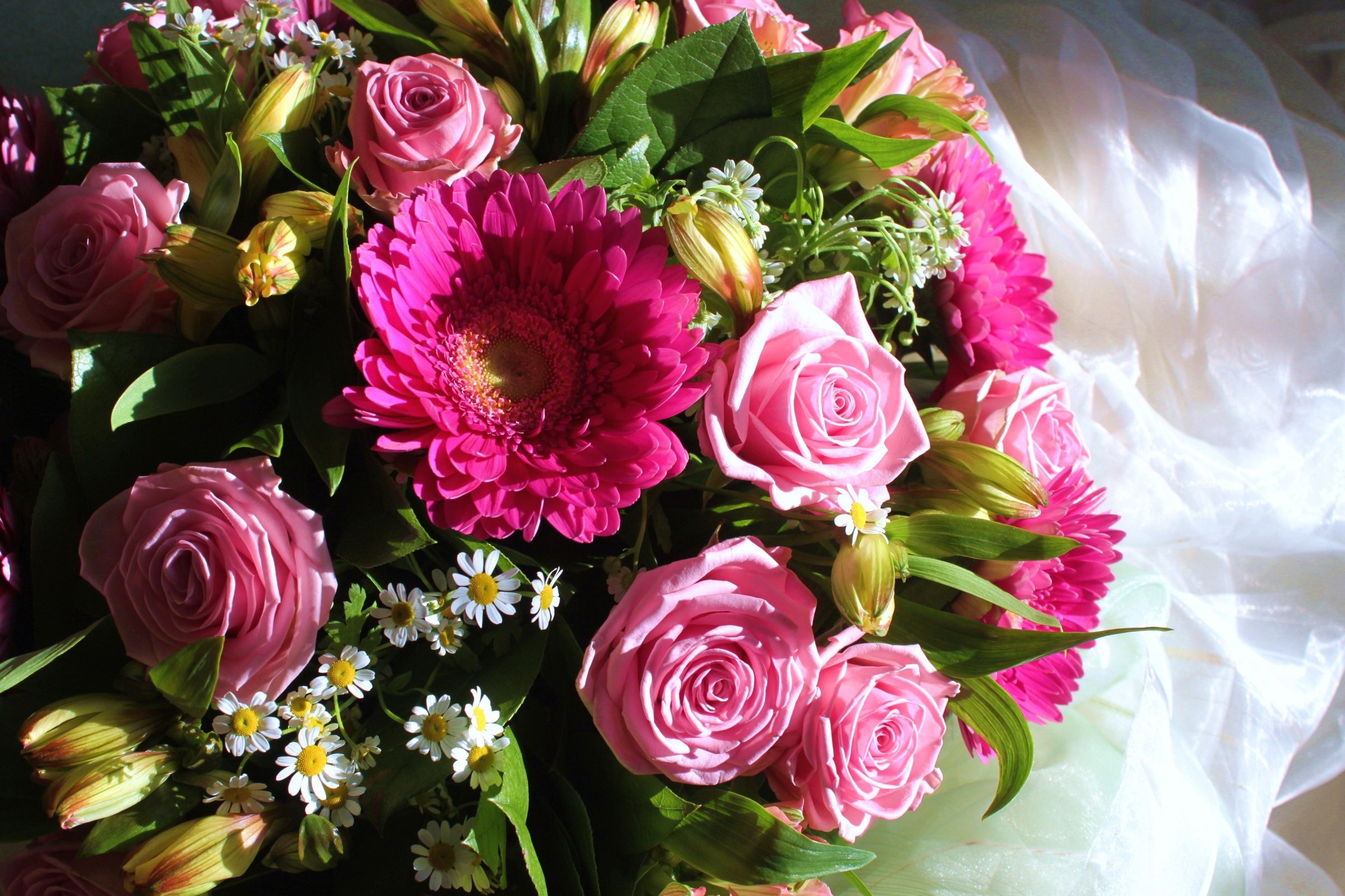 Pink Roses and Gerbera Daisies Flower Bouquet HD Wallpaper