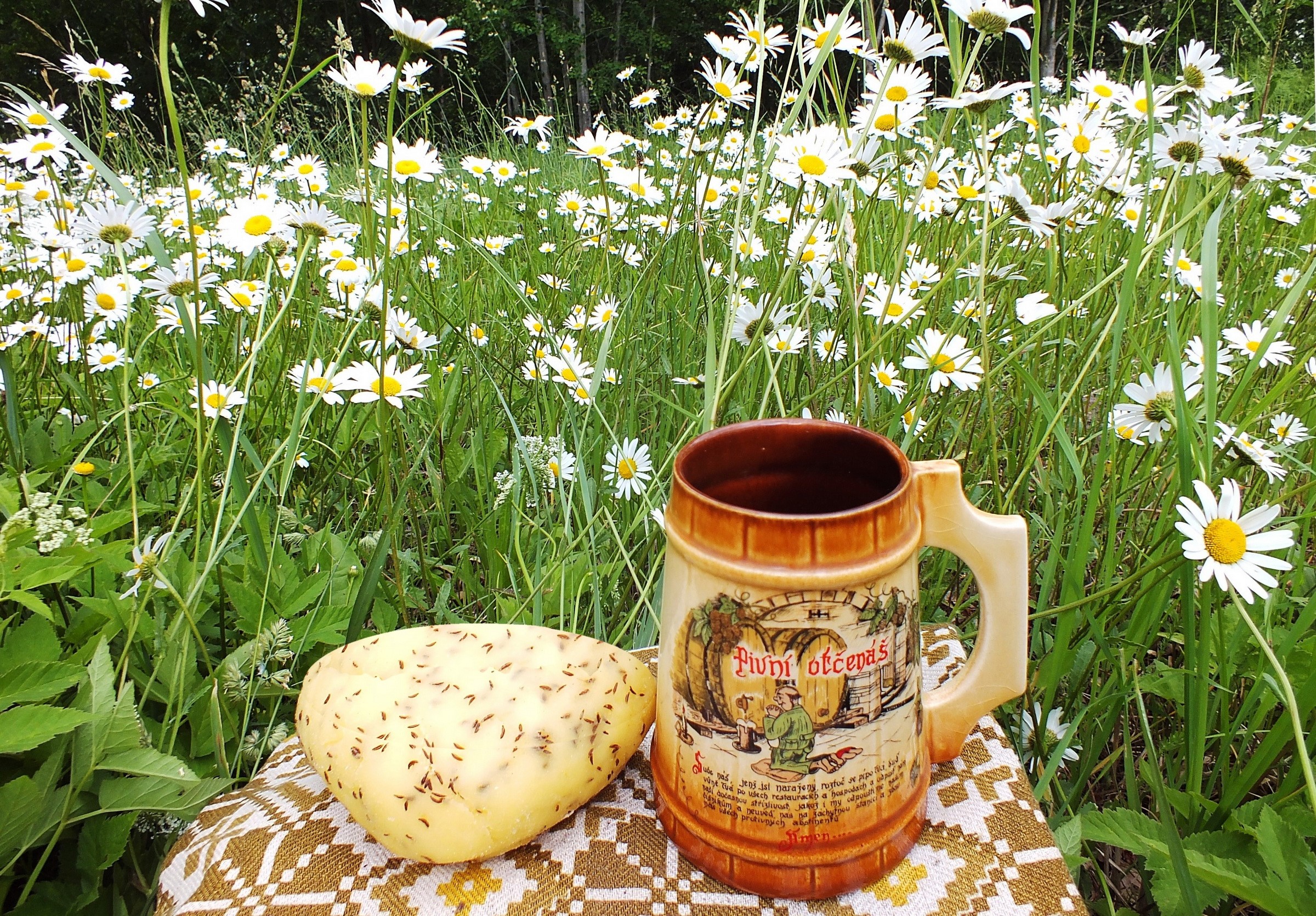Cheese and beer mug in a field of daisies HD Wallpaper