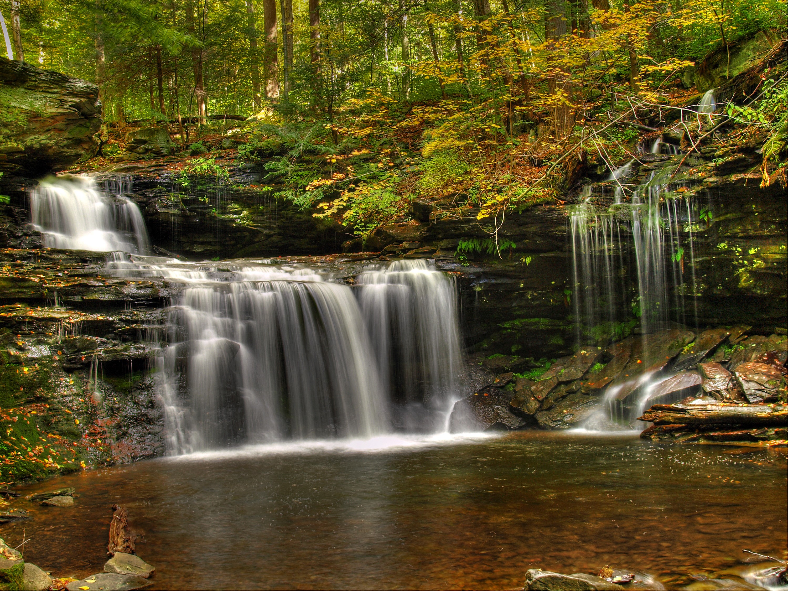 Waterfalls cascading through a forest with autumn foliage HD Wallpaper