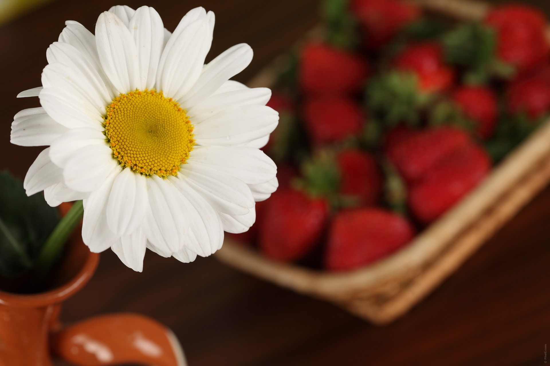 Daisy flower and strawberries in a basket HD Wallpaper