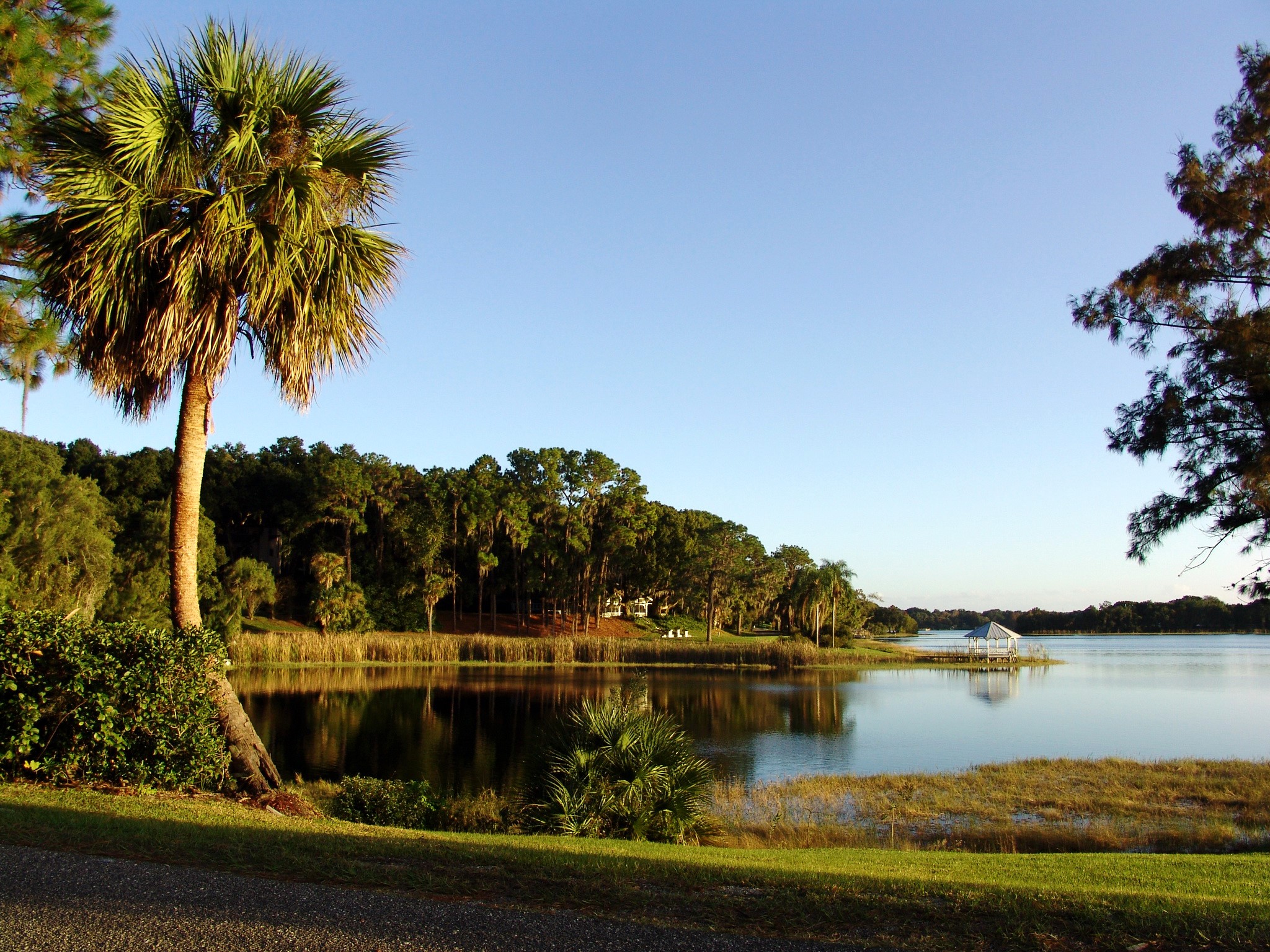 Palm trees and a gazebo on a lake in Florida HD Wallpaper