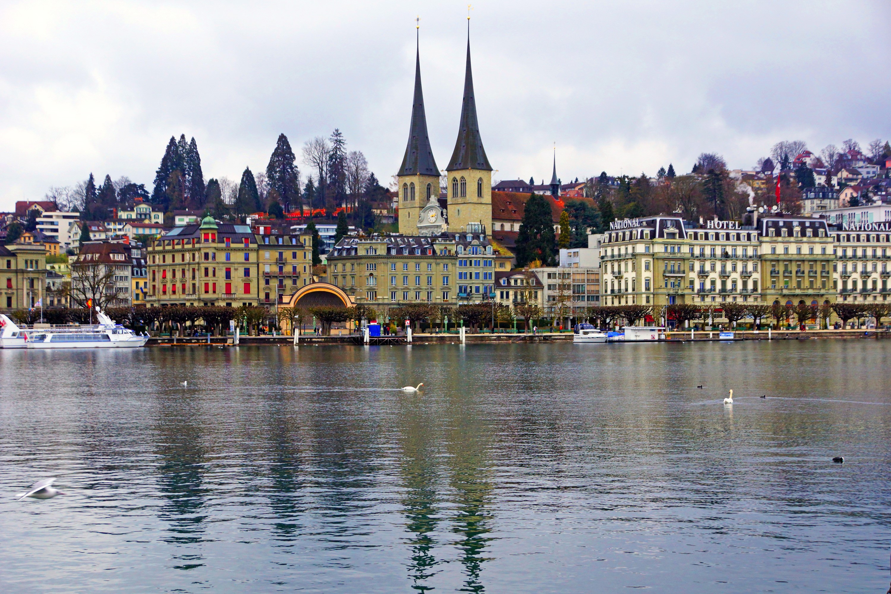 Lucerne, Switzerland cityscape with river and swans HD Wallpaper
