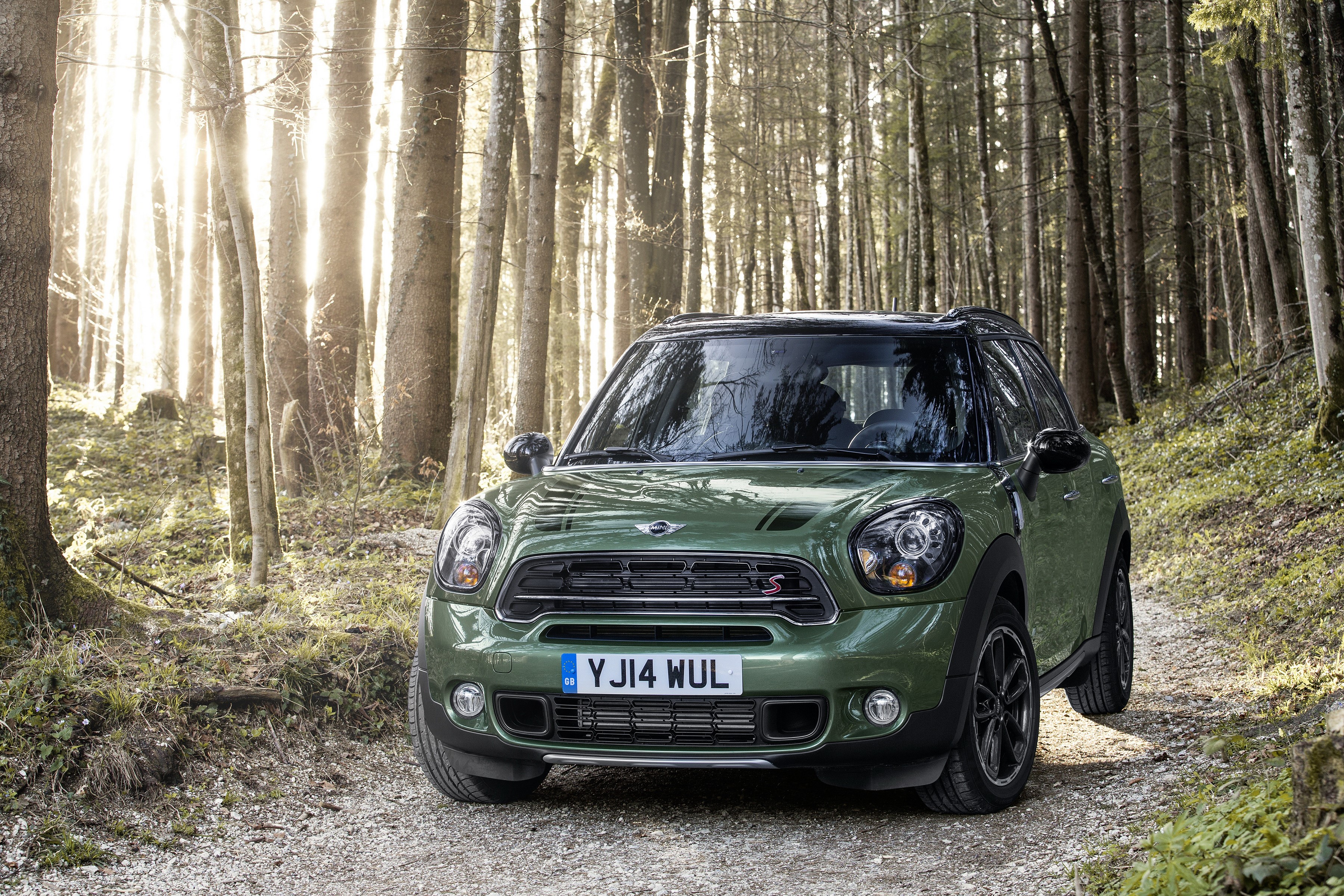 Green 2014 Mini Countryman Cooper SD in Forest HD Wallpaper