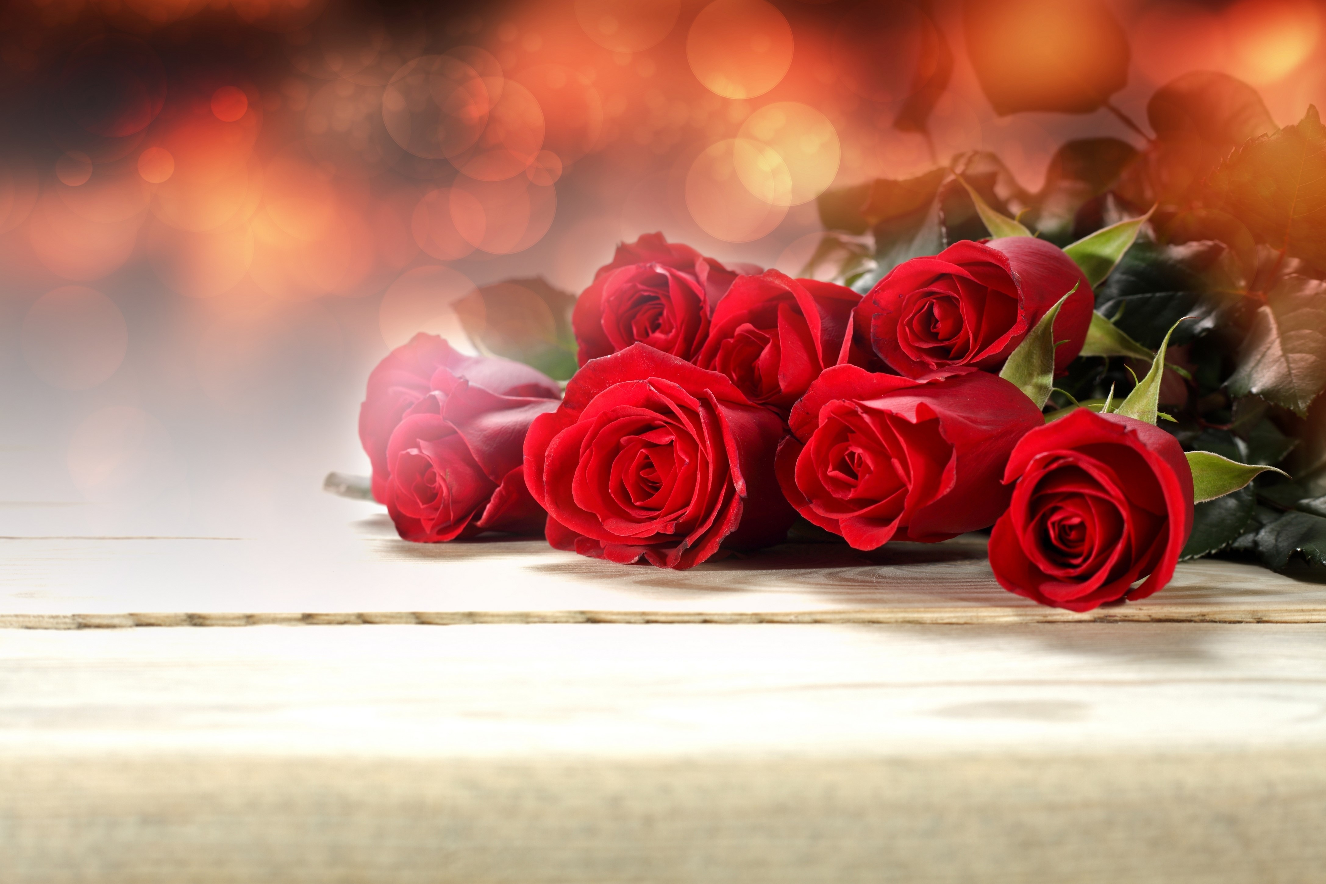 Red Roses on a Wooden Surface HD Wallpaper