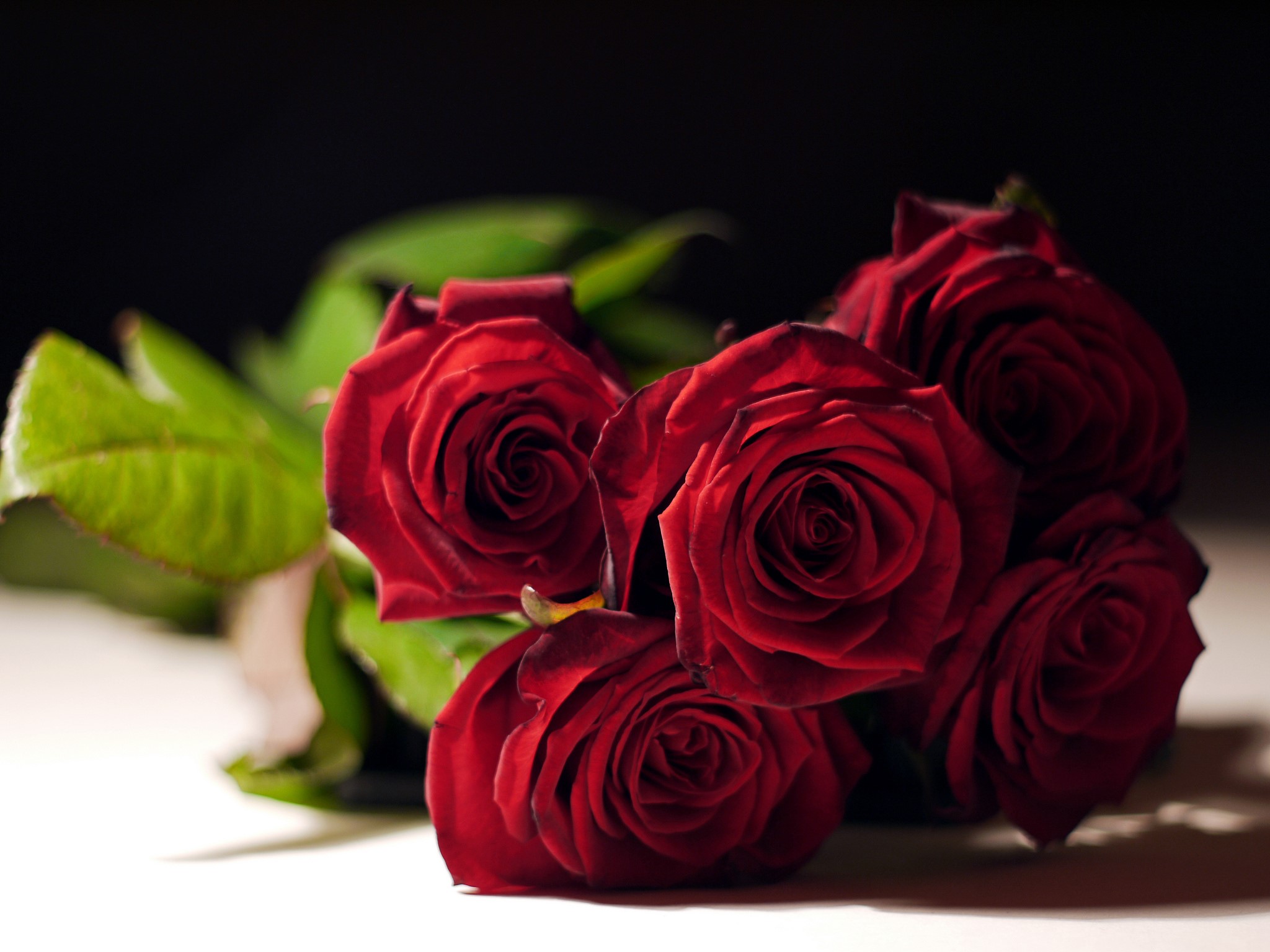Bouquet of red roses with green leaves HD Wallpaper