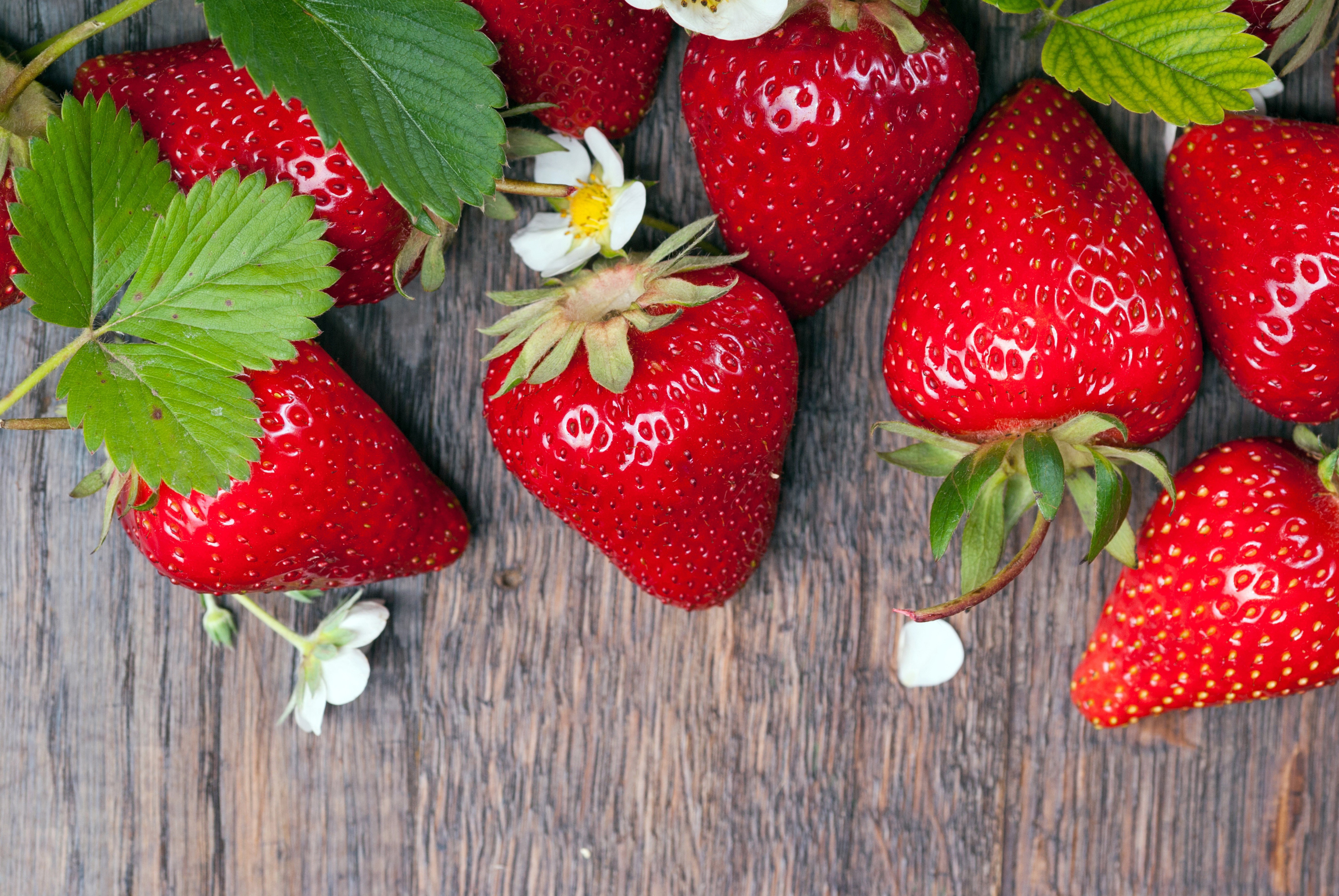 Strawberries with leaves and flowers HD Wallpaper