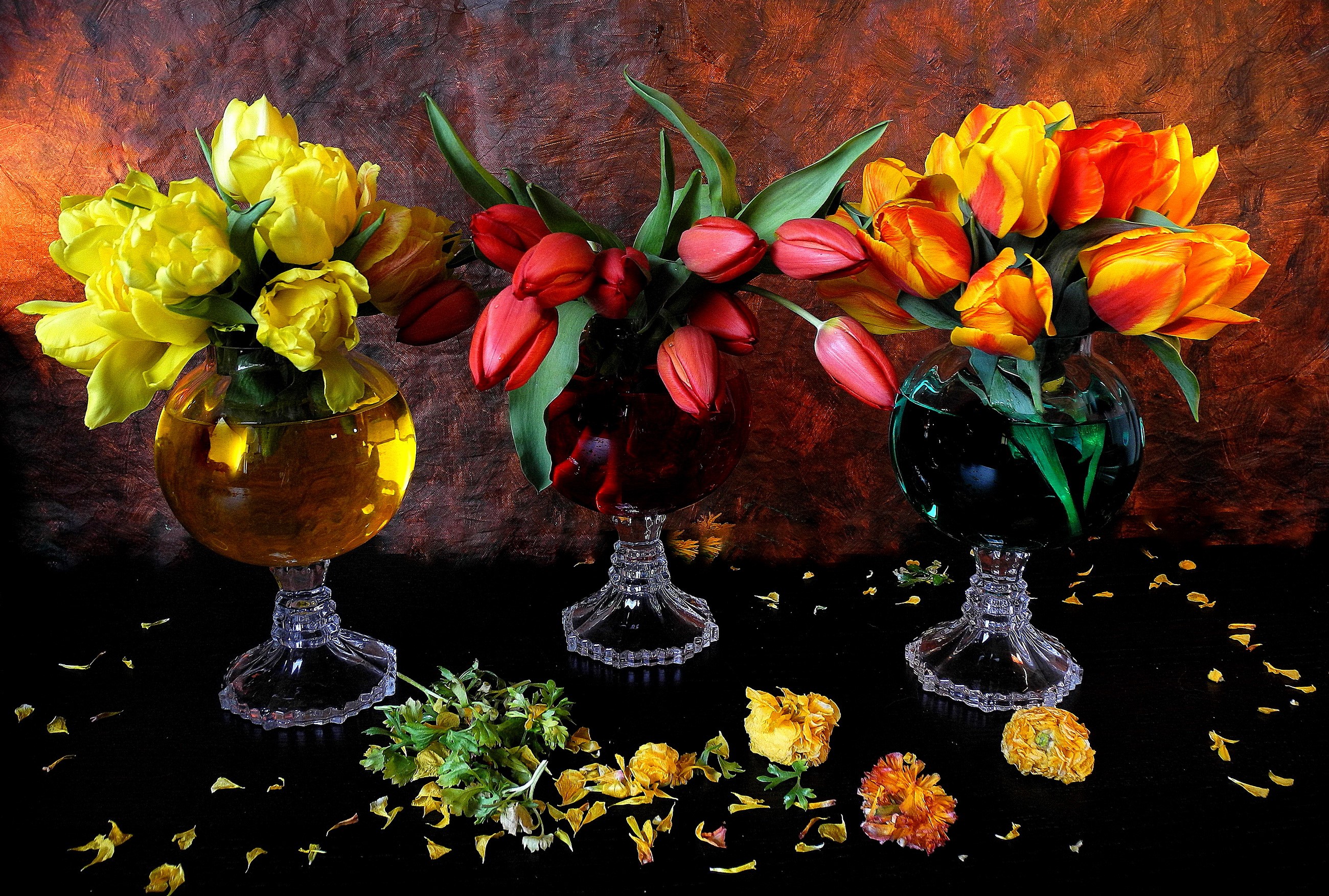 Three vases of tulips with scattered petals HD Wallpaper