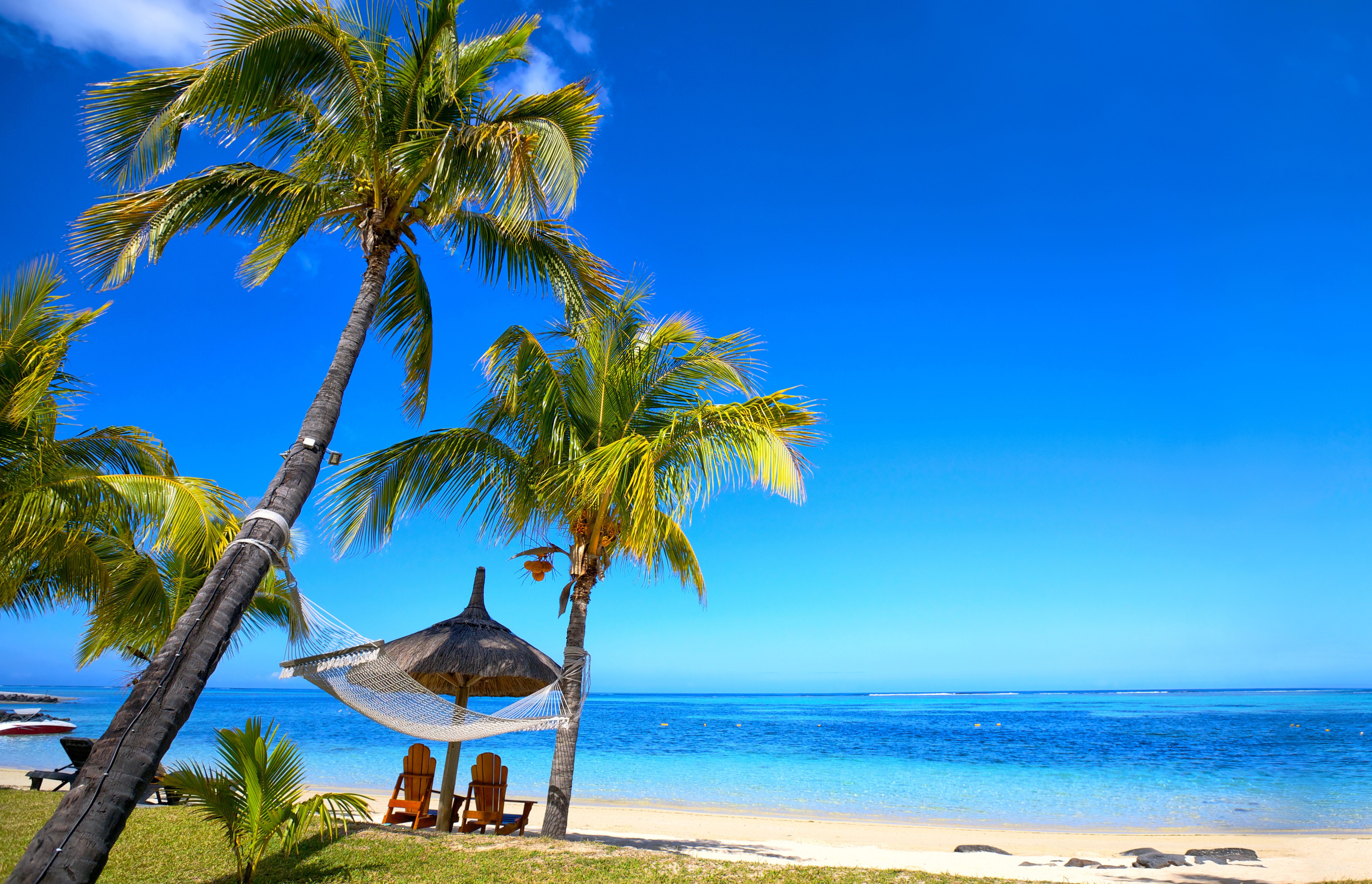 4K Tropical Beach with Palm Trees and Hammock HD Wallpaper