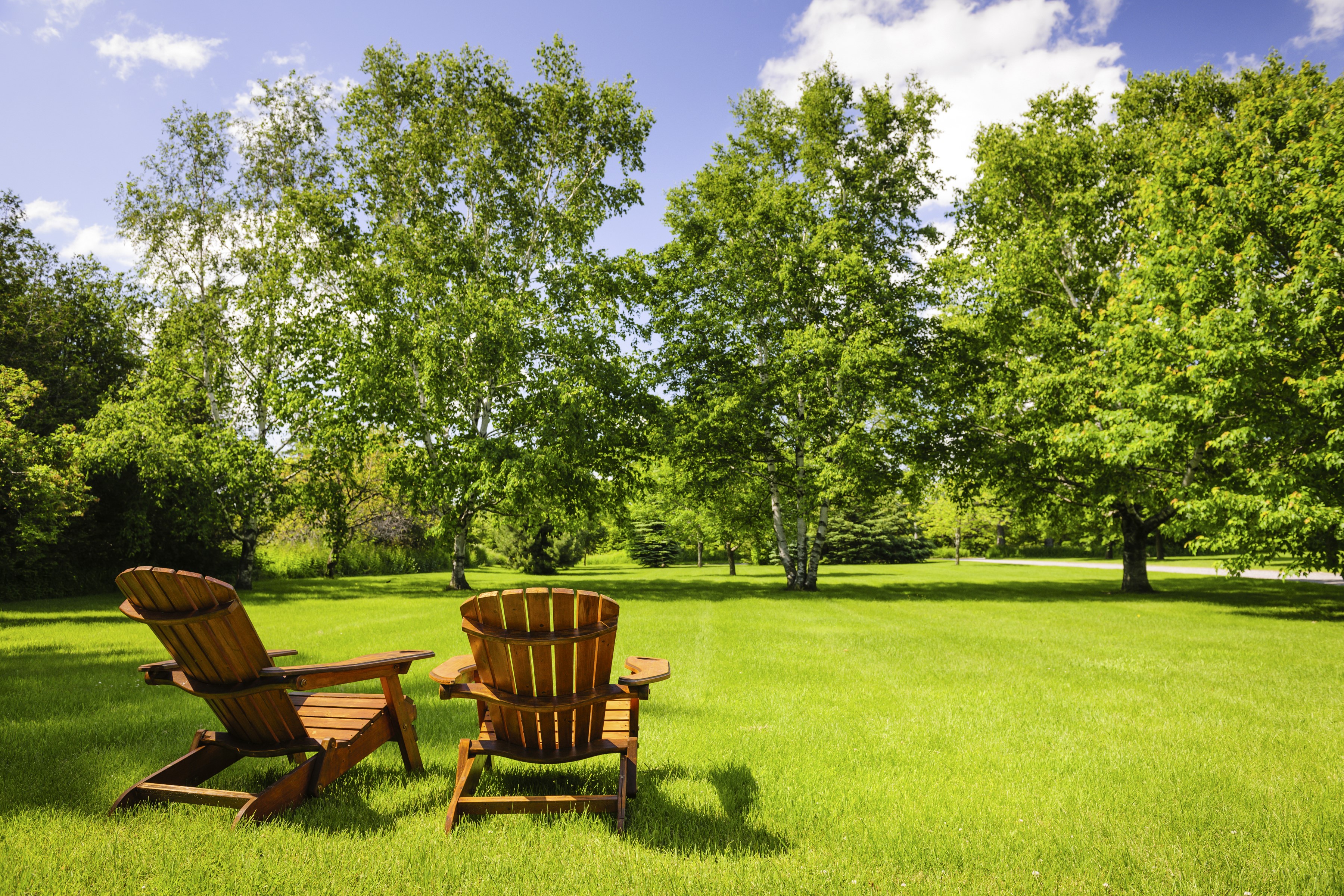 Two Adirondack chairs on a sunny lawn with trees HD Wallpaper