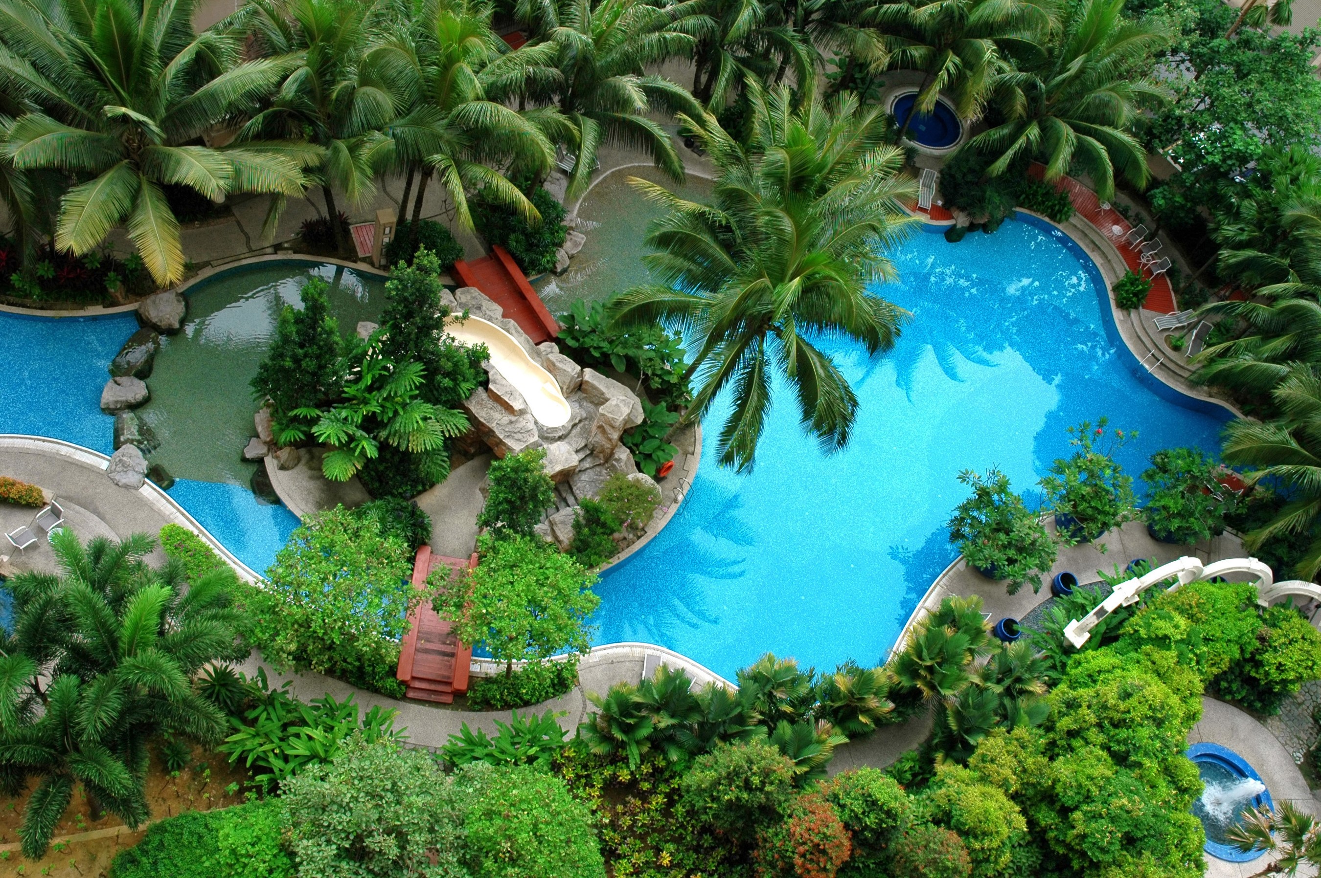 Resort pool with palm trees and a waterslide HD Wallpaper