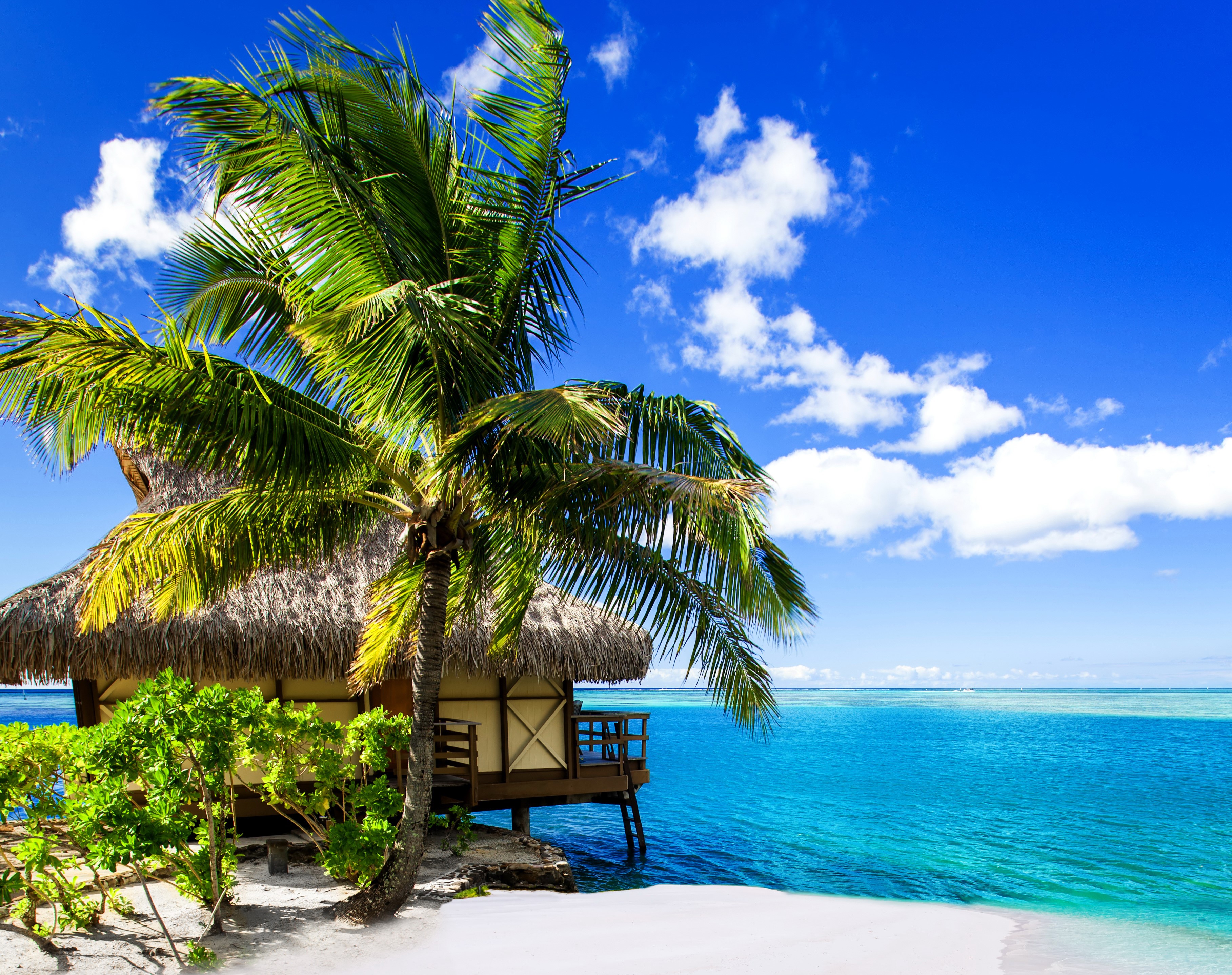 Bungalow on stilts with palm trees in French Polynesia HD Wallpaper
