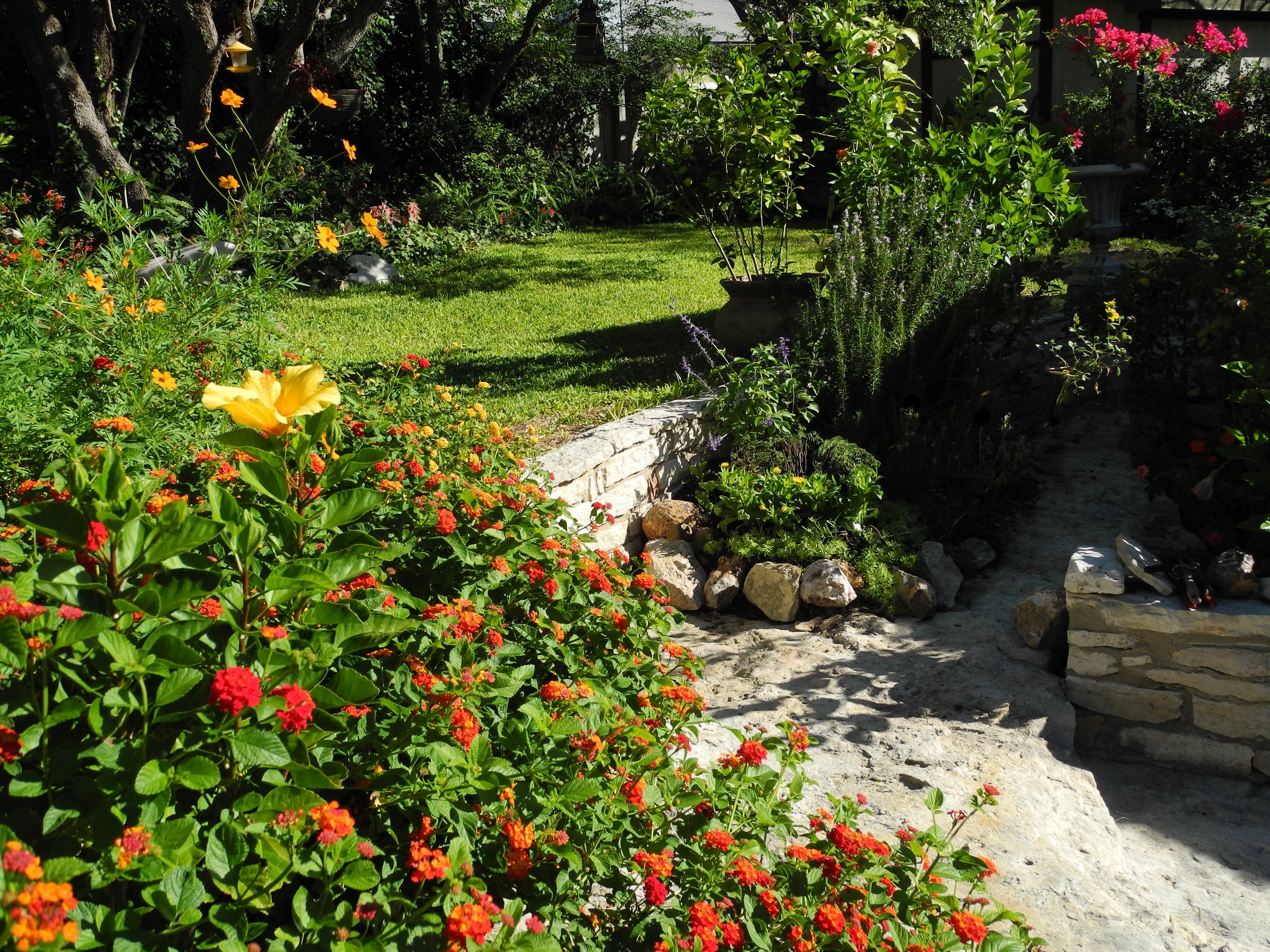 Lush garden with colorful flowers and a stone path HD Wallpaper