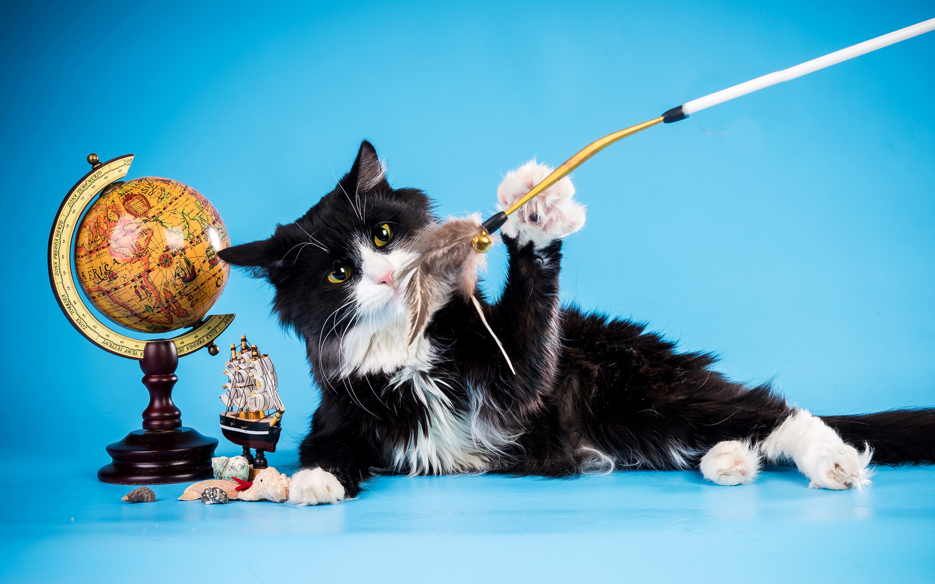 Black and white cat playing with a toy mouse near a globe HD Wallpaper