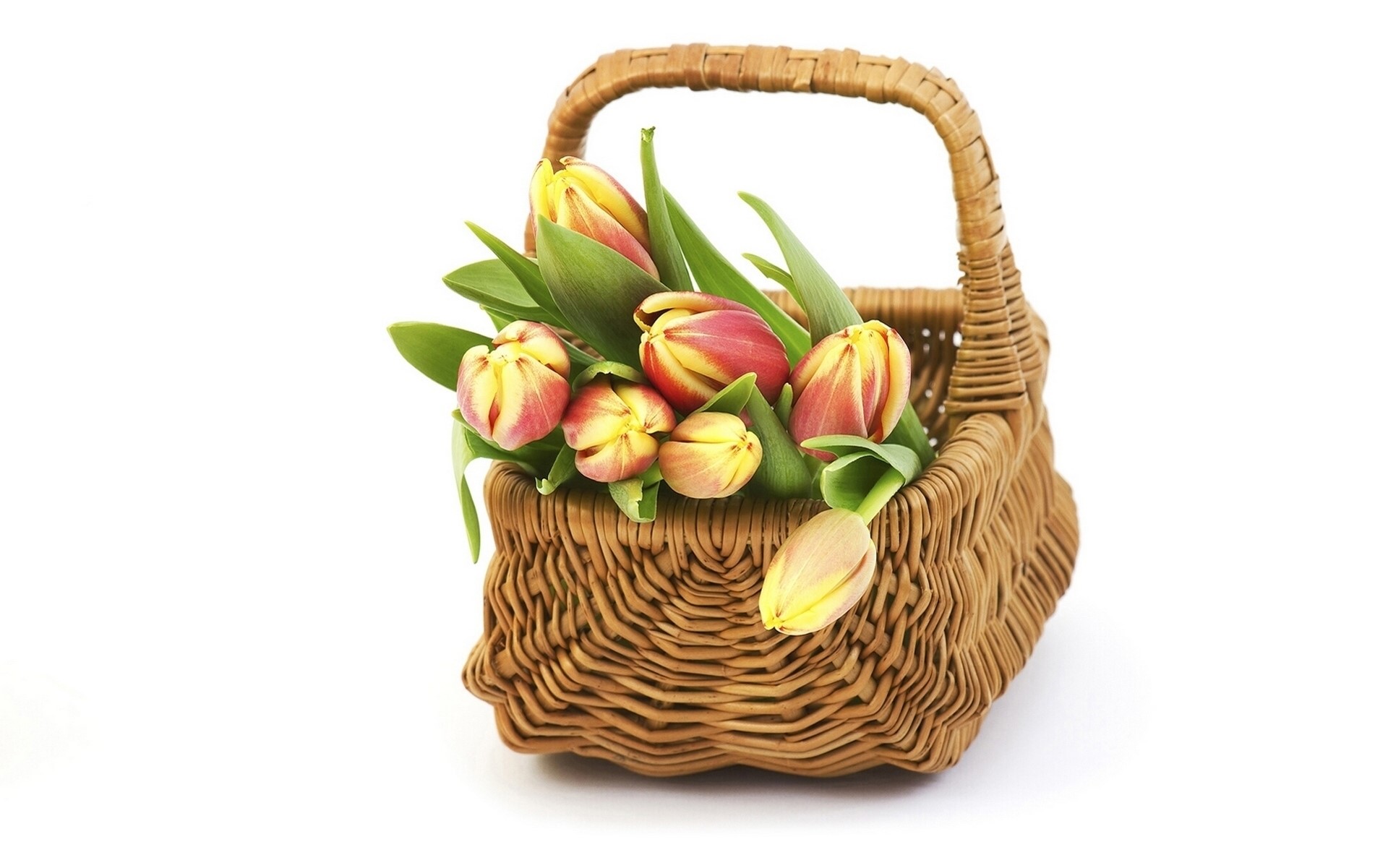 Wicker basket with red and yellow tulips HD Wallpaper