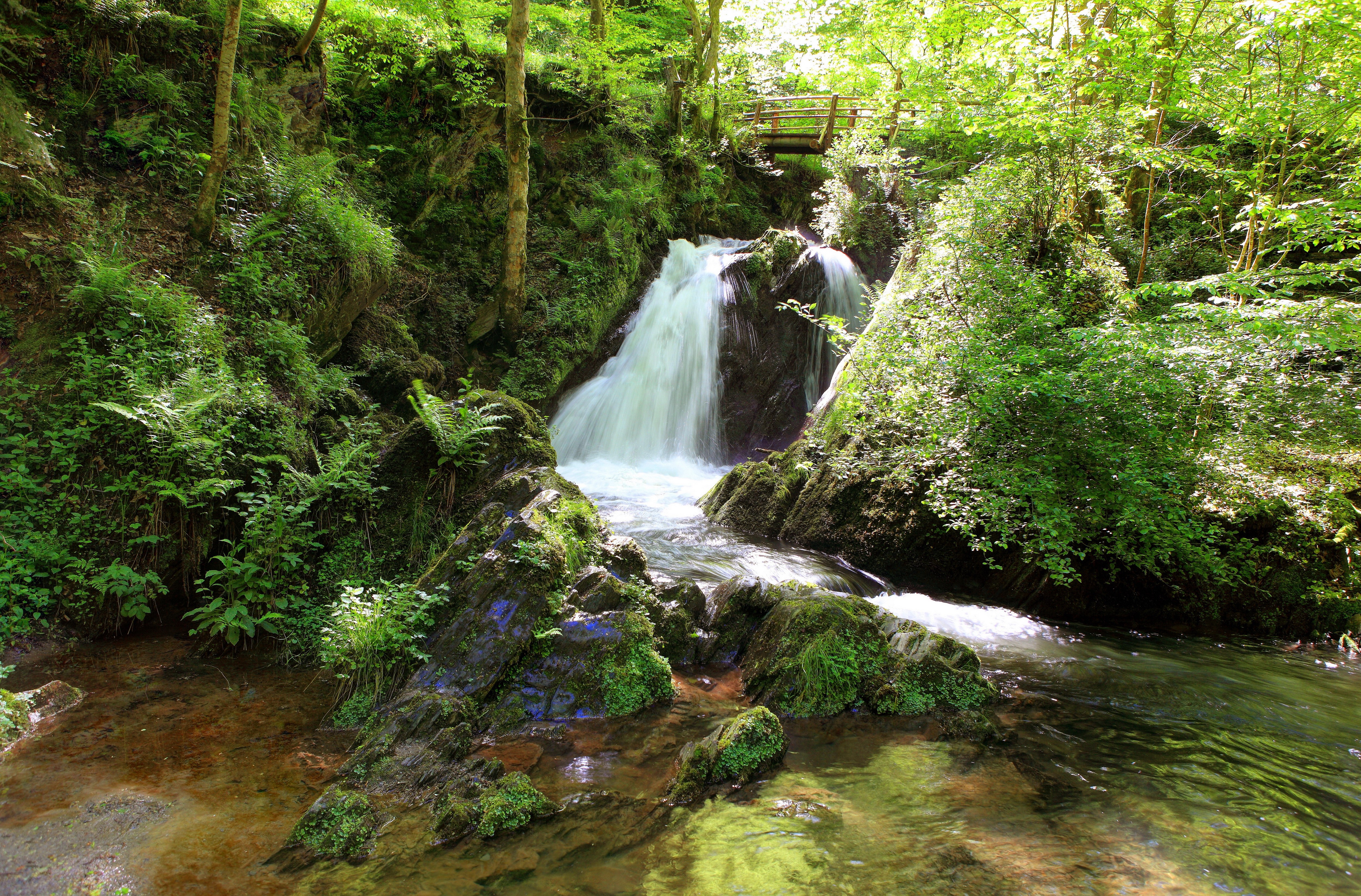 Waterfall in a forest with a wooden bridge HD Wallpaper