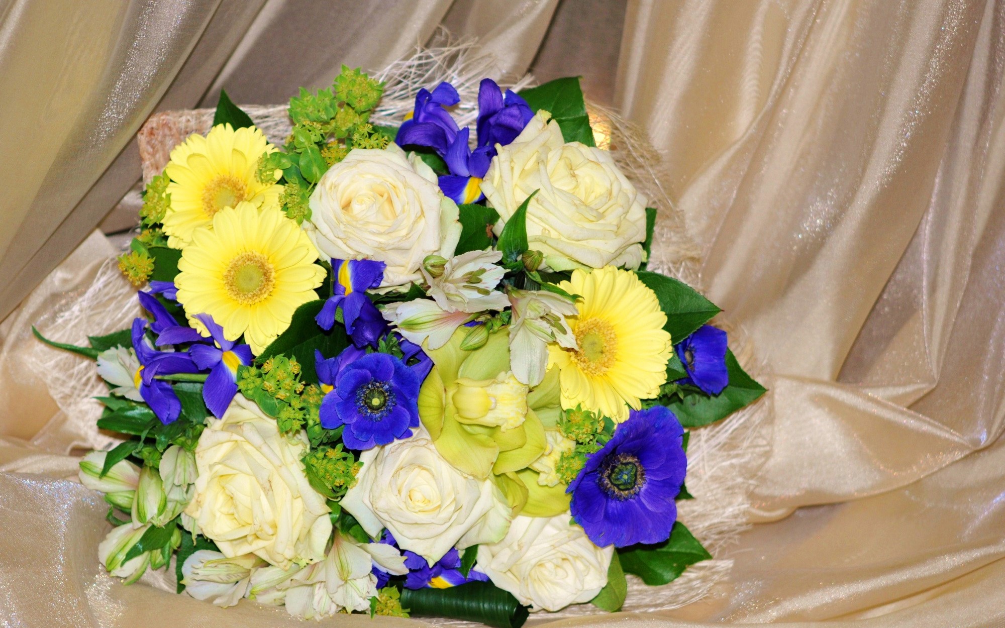 Bouquet of Roses, Gerberas, Irises, and Anemones HD Wallpaper