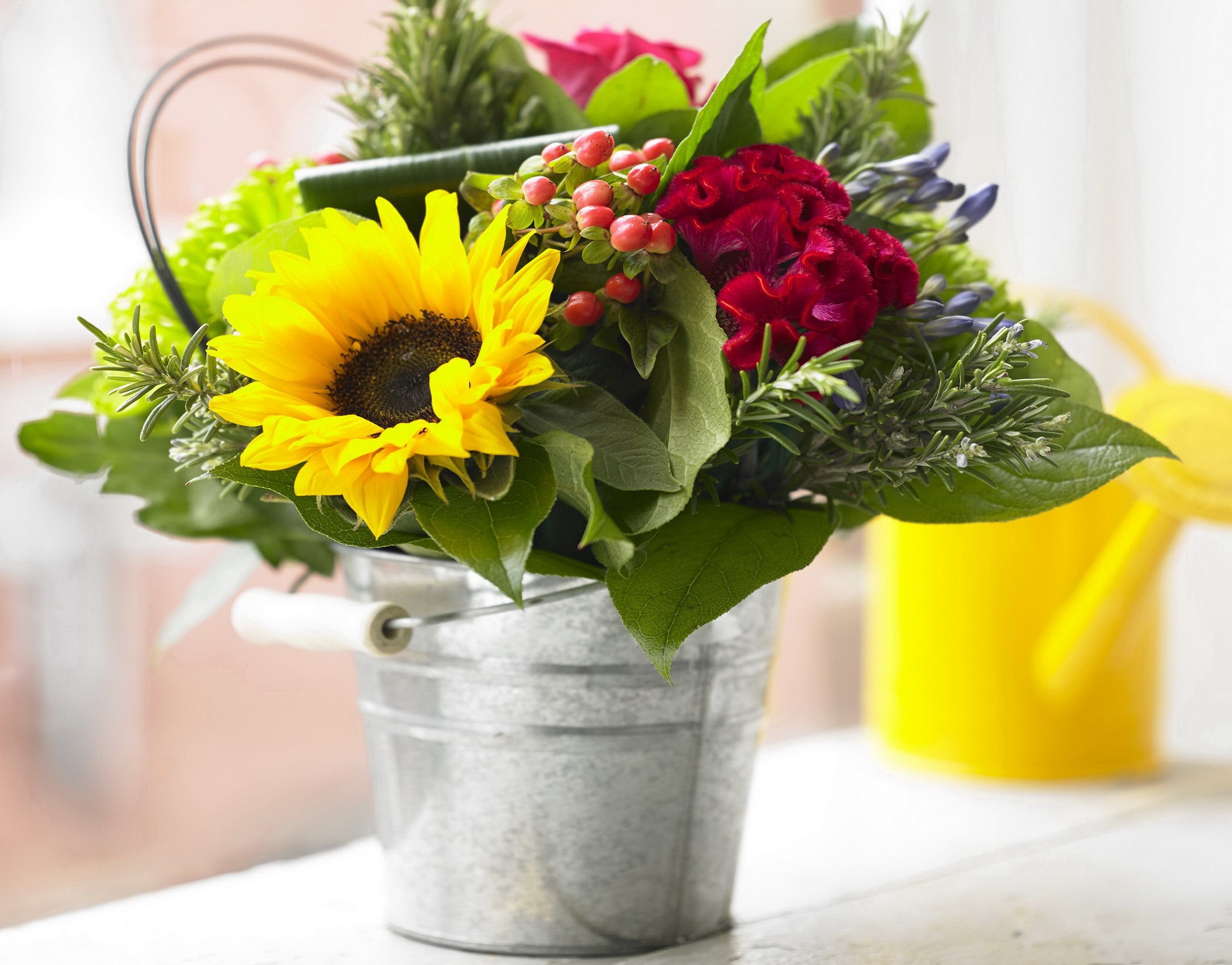 Sunflower and Carnation Bouquet in a Bucket HD Wallpaper