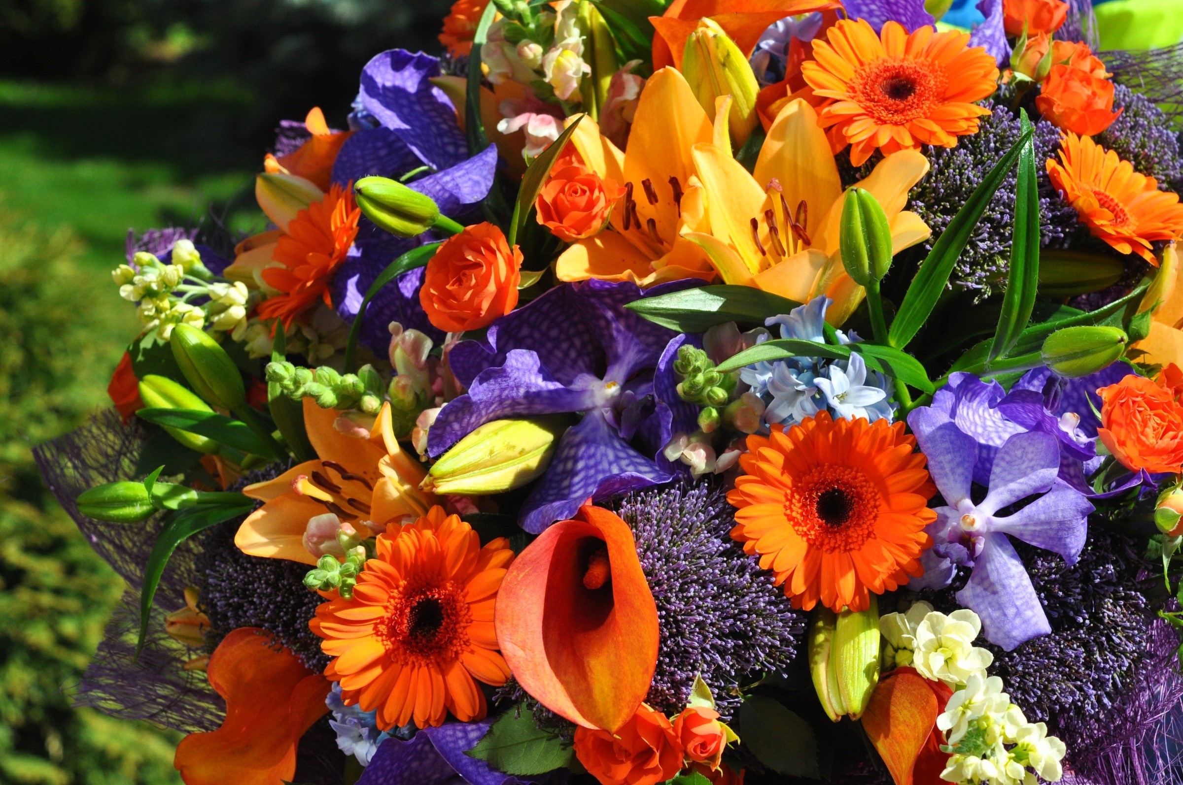 Colorful Bouquet of Mixed Flowers HD Wallpaper