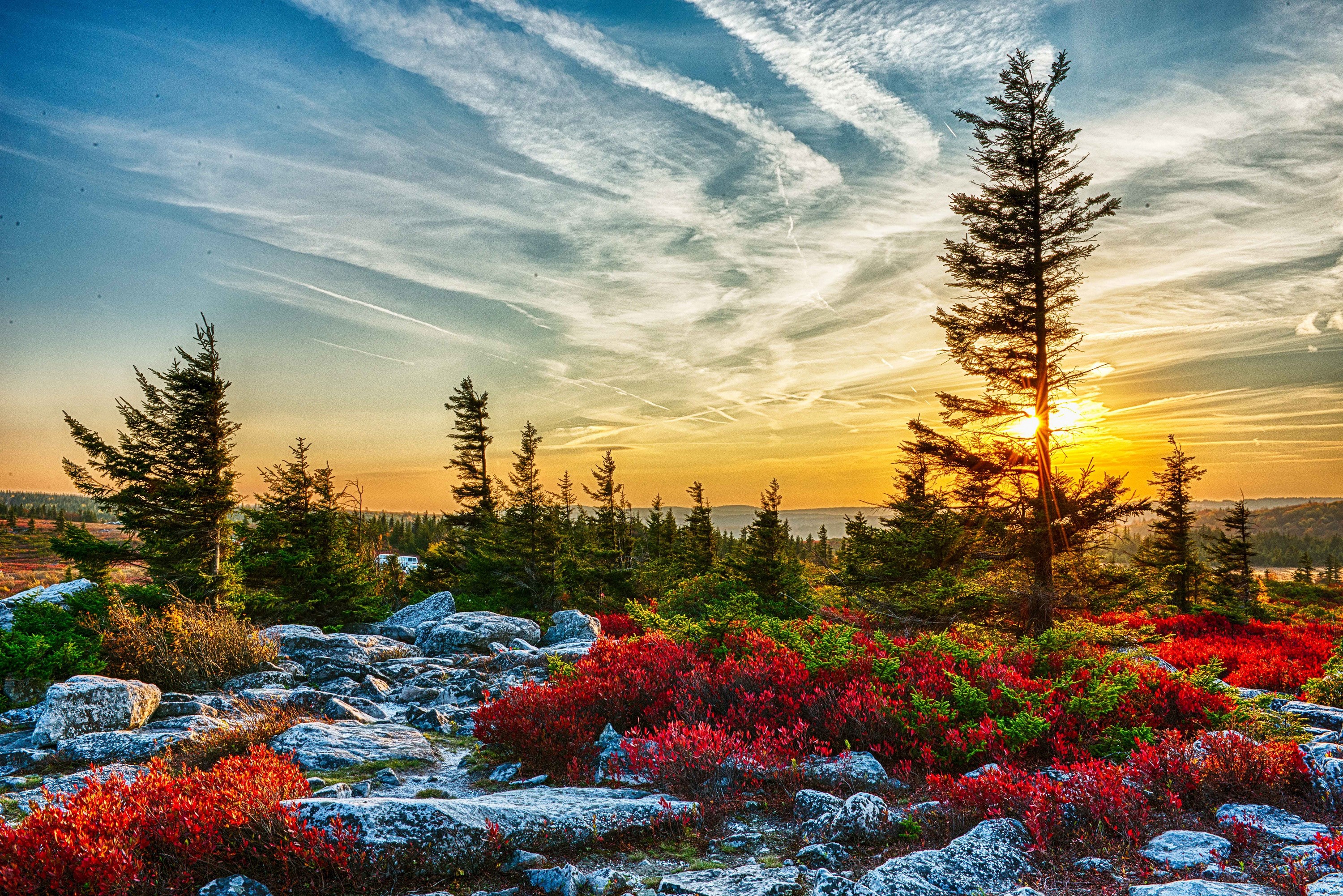 Sunset over Dolly Sods Wilderness, West Virginia HD Wallpaper