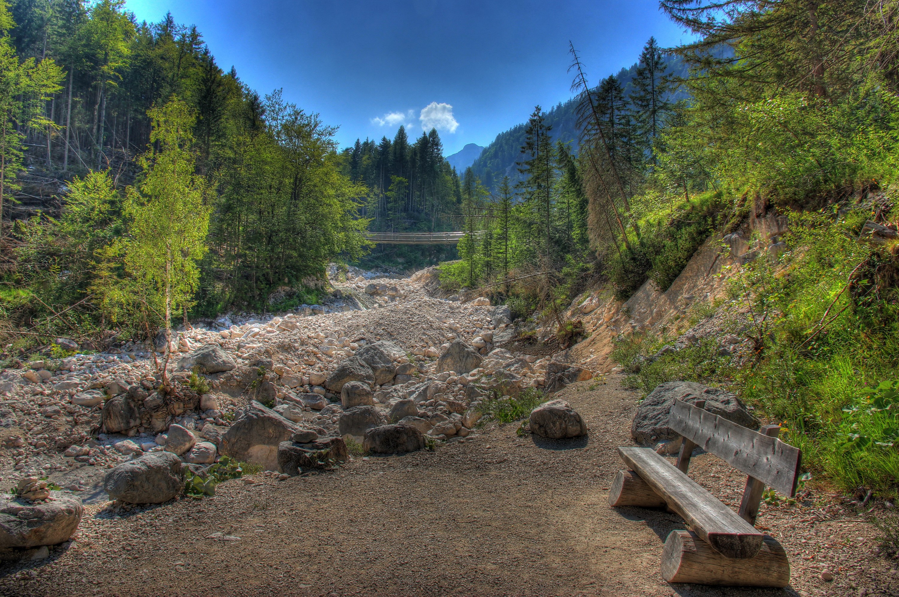 Wooden bench by a rocky riverbed in a forest HD Wallpaper