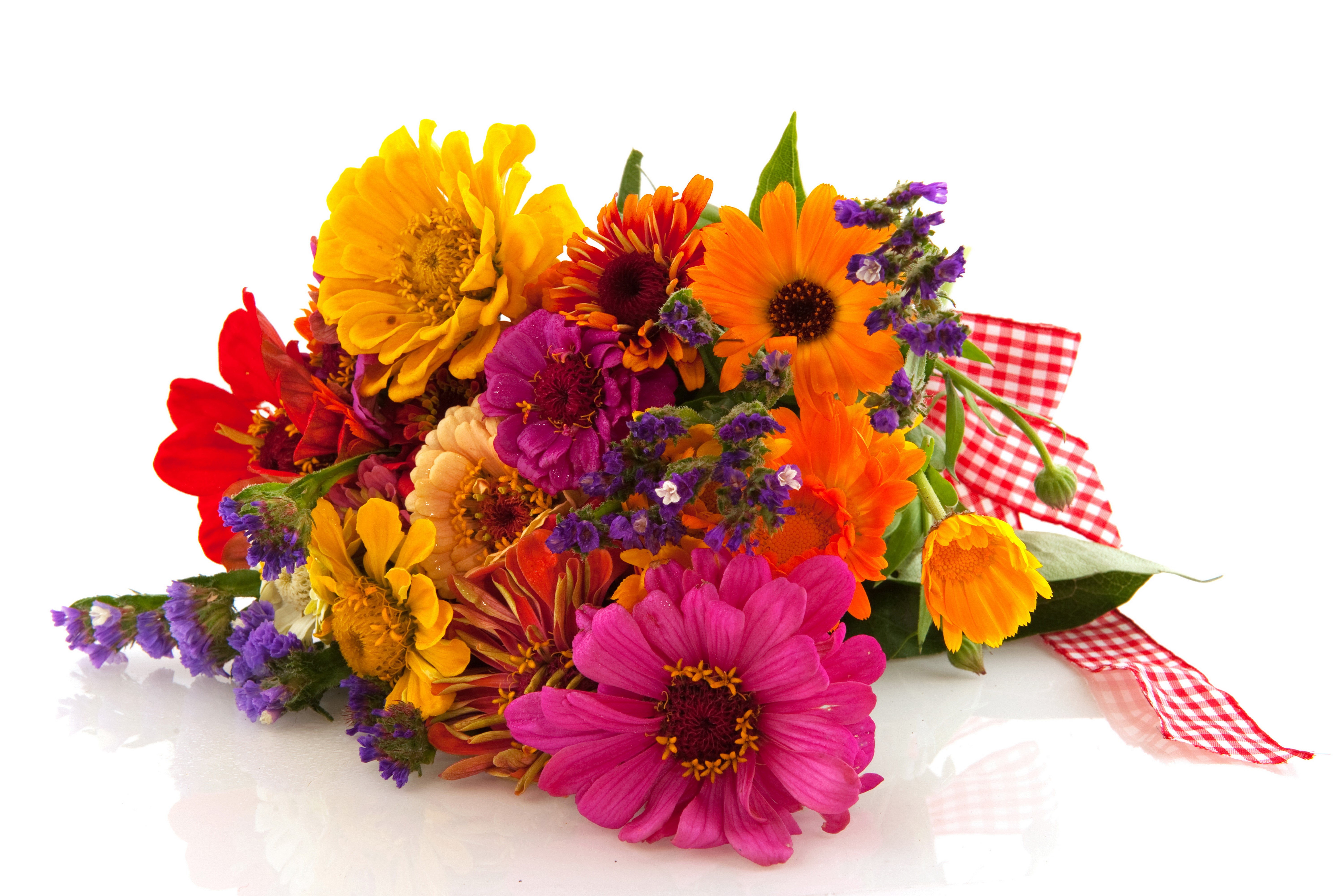 Bouquet of Zinnias and Gerbera Daisies with Ribbon HD Wallpaper