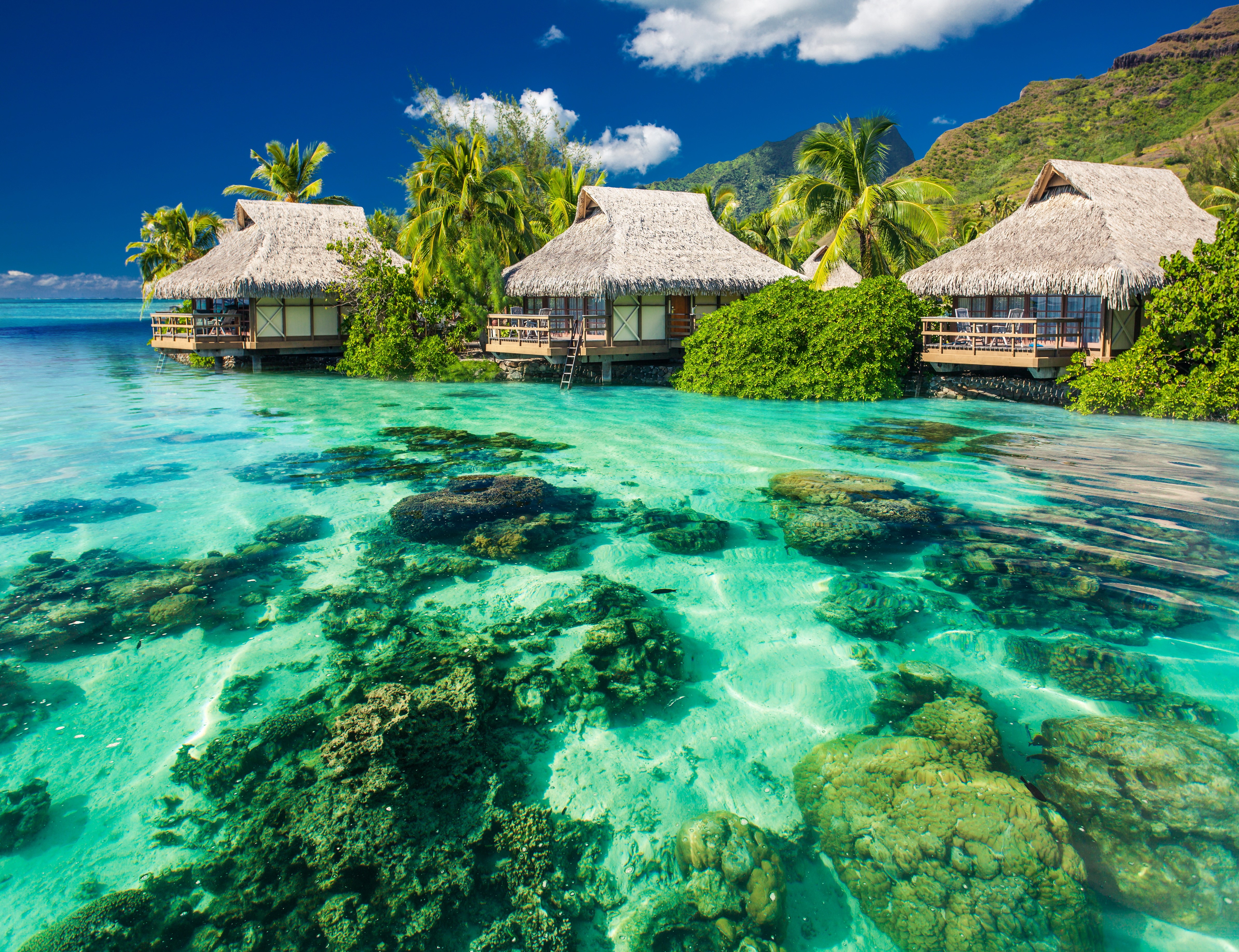 4K Tropical Overwater Bungalows and Coral Reef HD Wallpaper