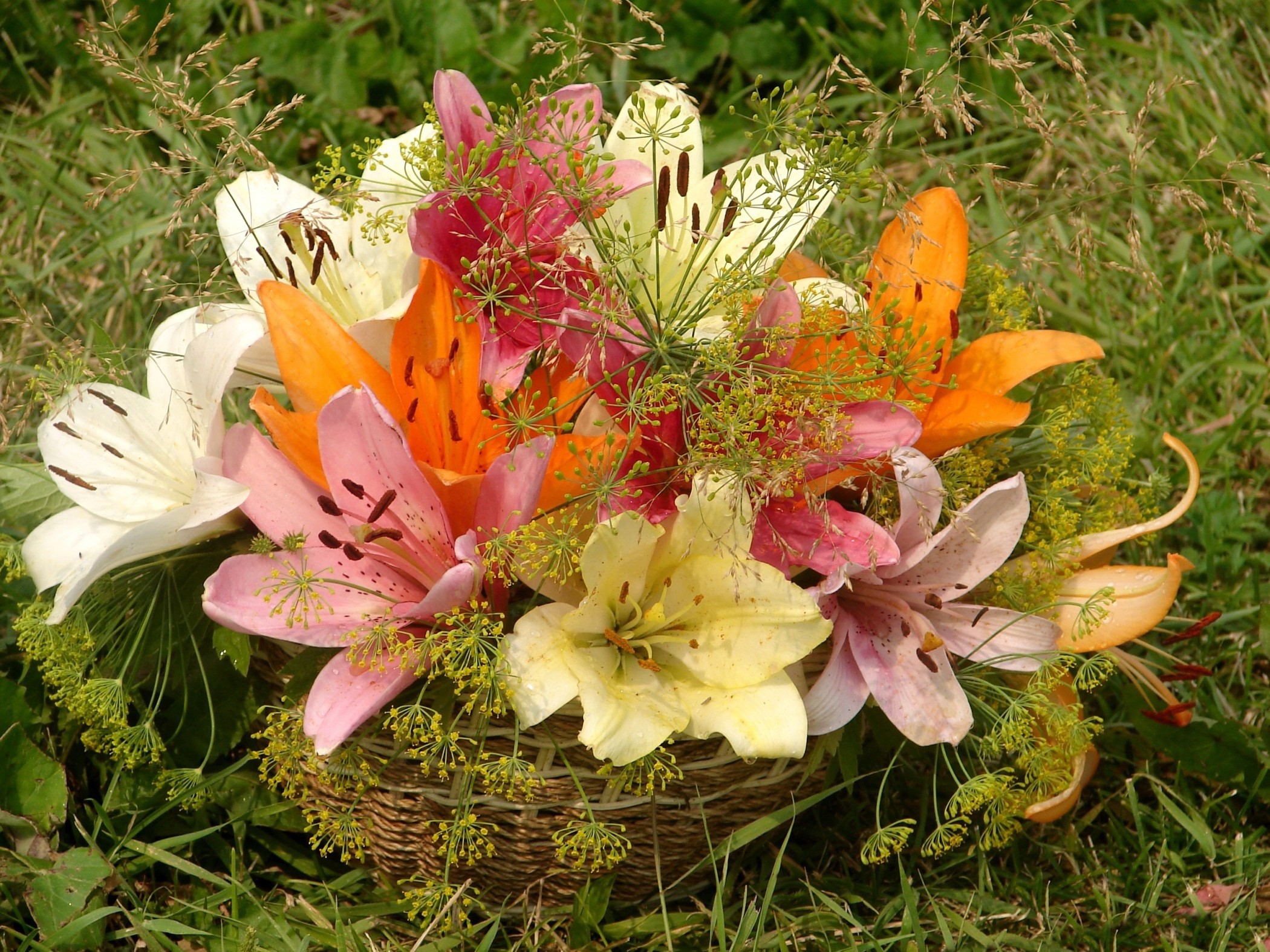 Bouquet of lilies in a wicker basket on grass HD Wallpaper