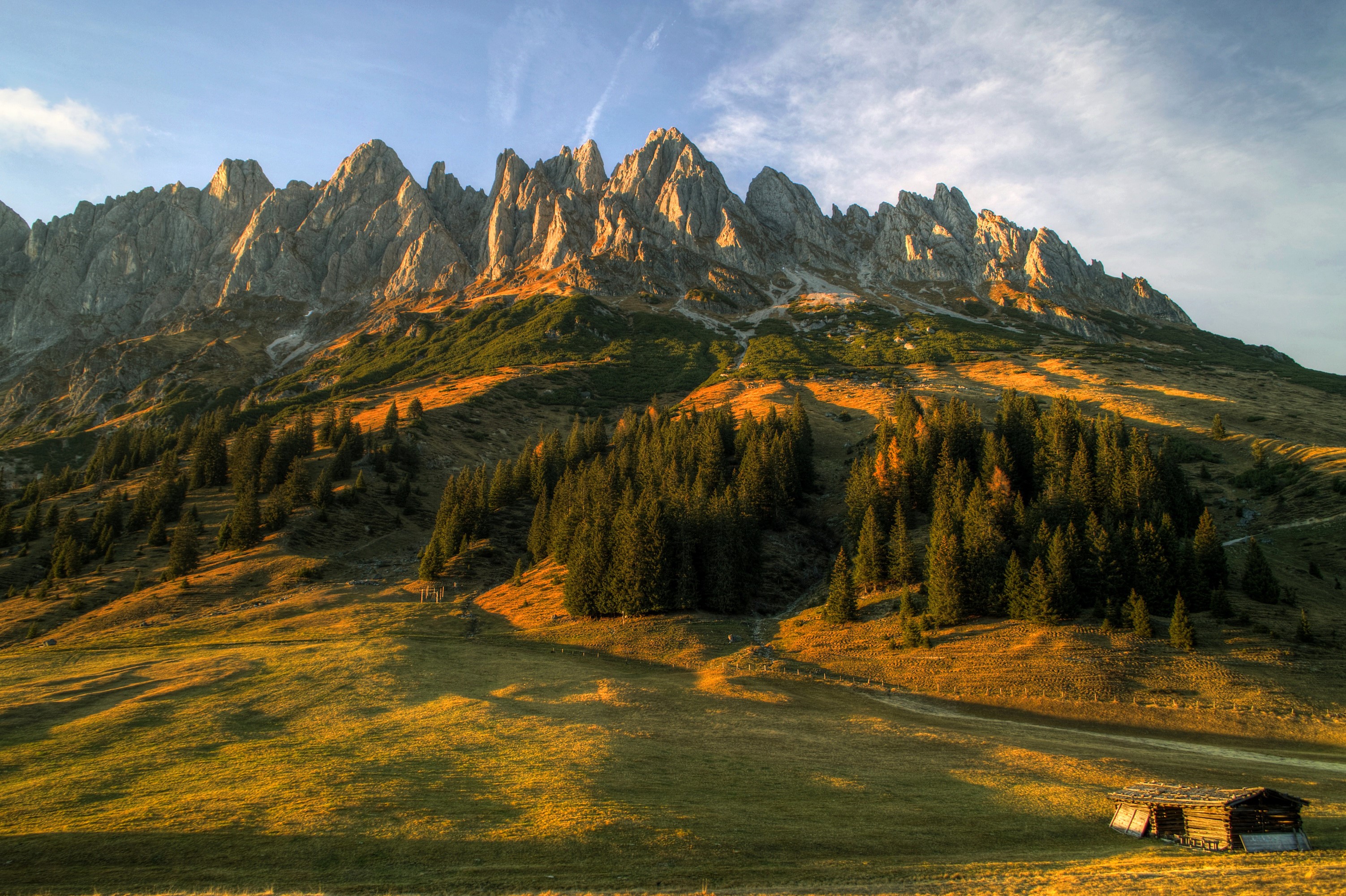 Jagged mountain range in Austria with spruce forest and meadow HD Wallpaper