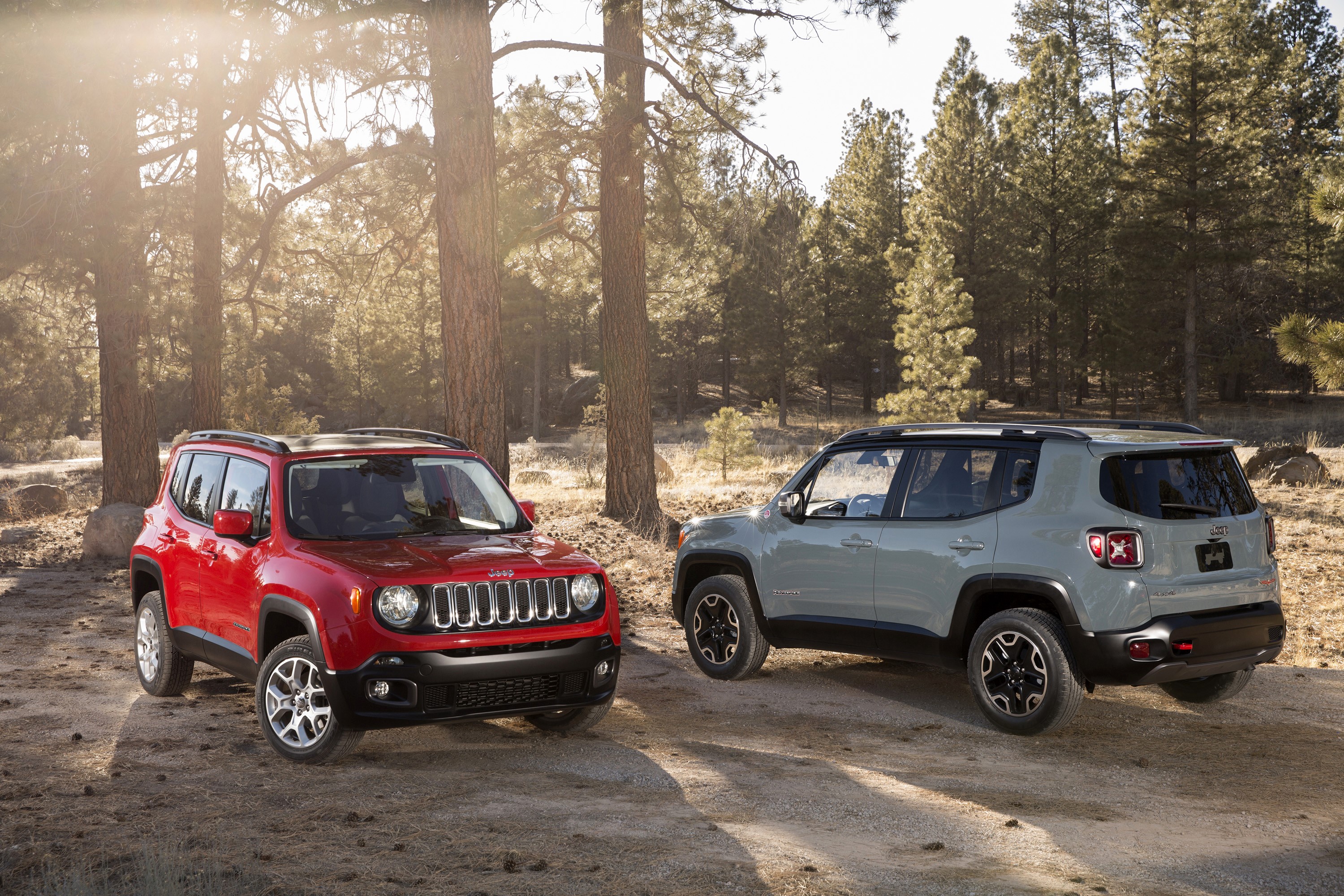 Two Jeep Renegades in a Forest HD Wallpaper