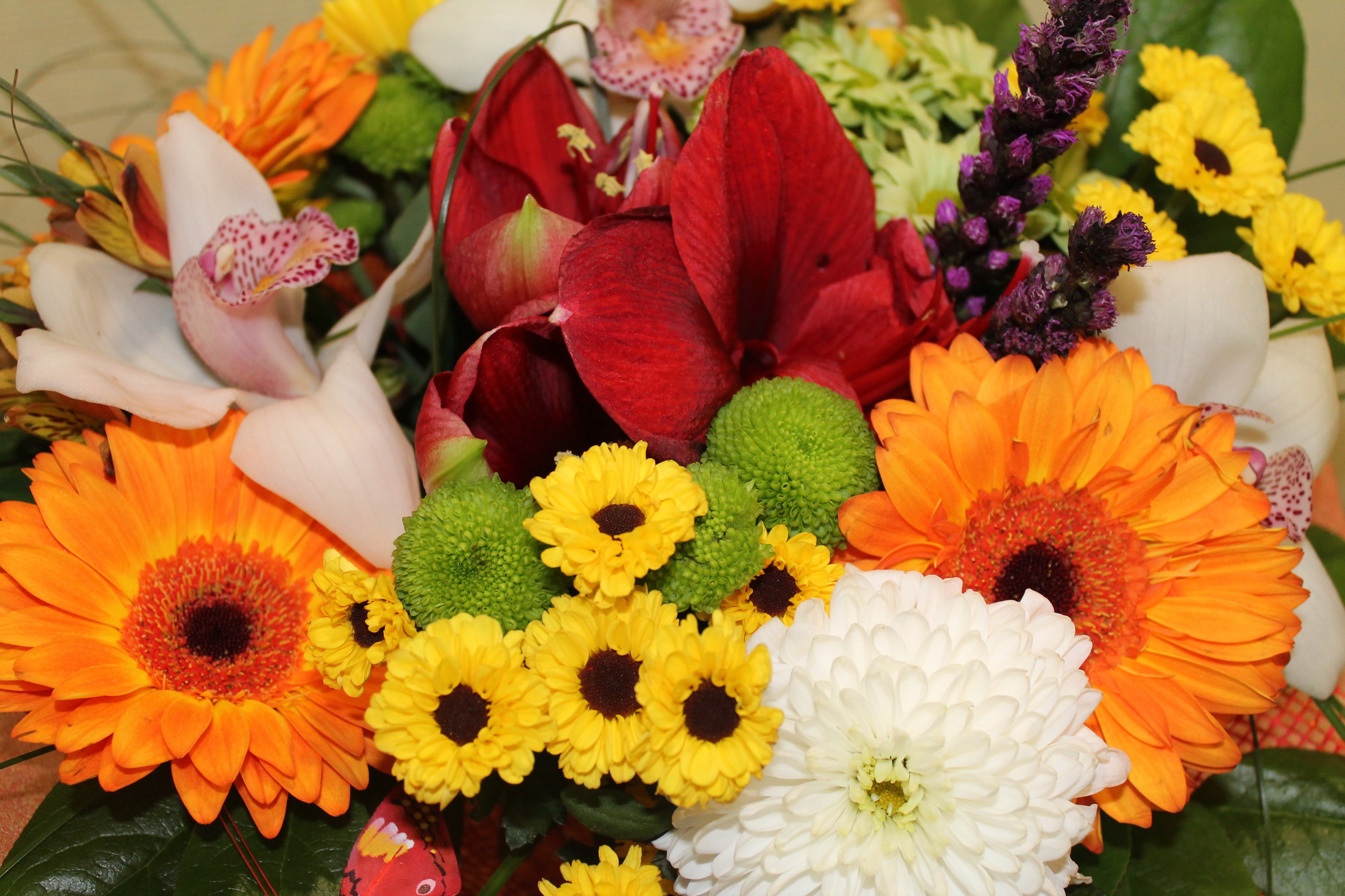 Bouquet with Orchids, Gerberas, and Dahlias HD Wallpaper