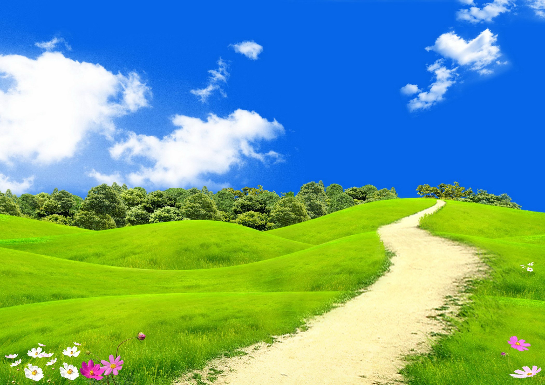Green rolling hills with a path and flowers under a blue sky HD Wallpaper