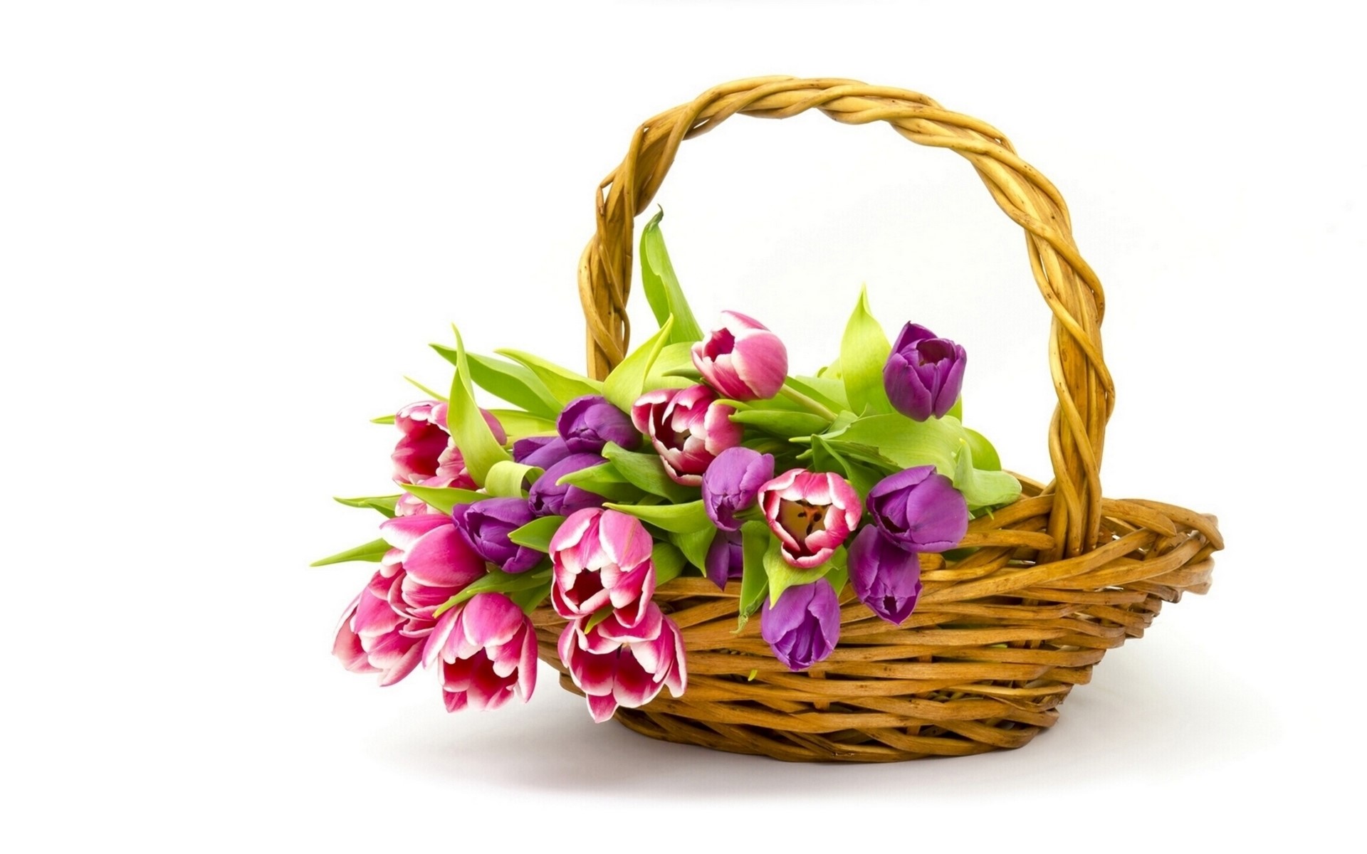 Pink and purple tulips in a wicker basket HD Wallpaper