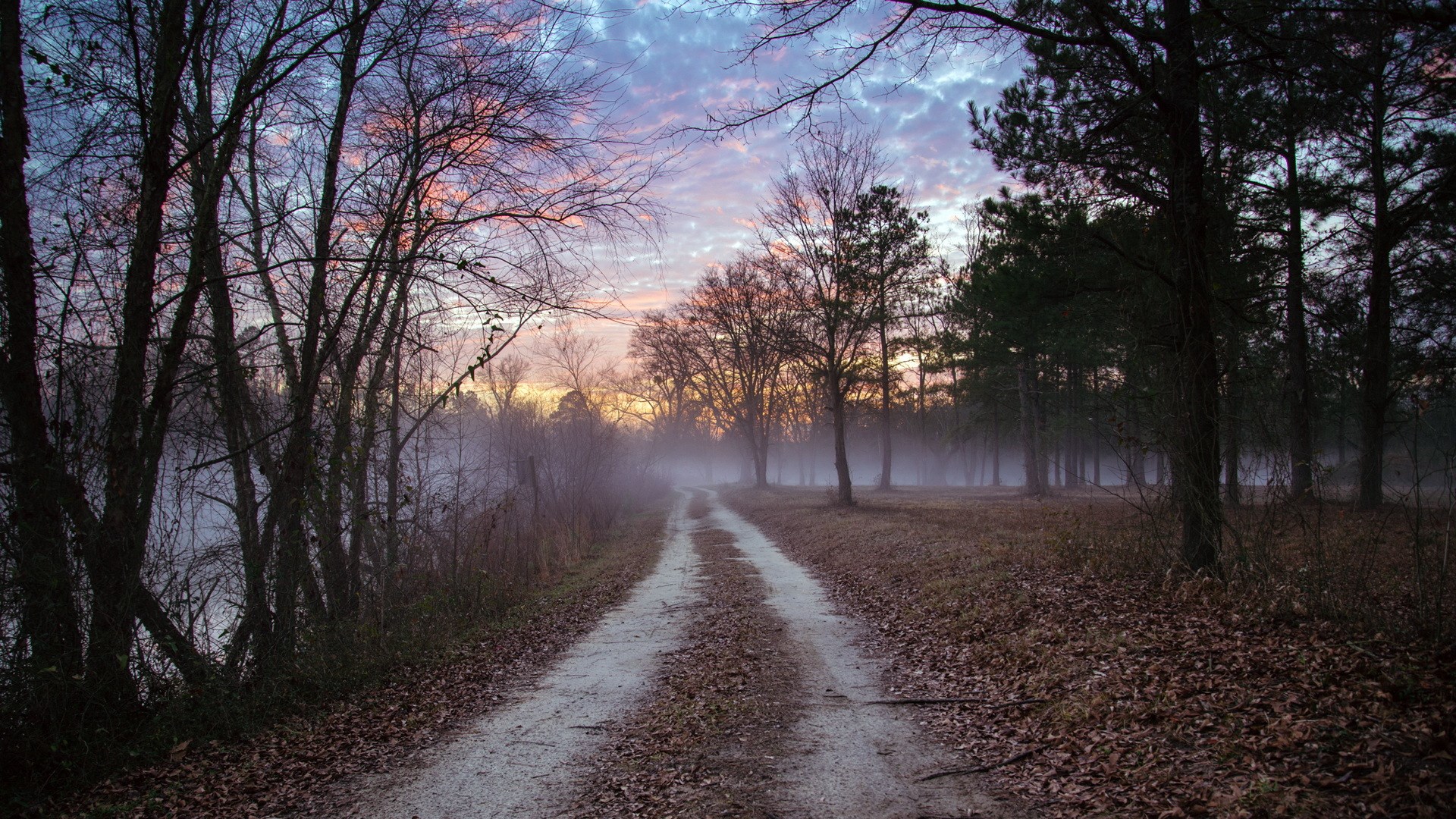 Dirt road through a foggy forest at sunrise HD Wallpaper