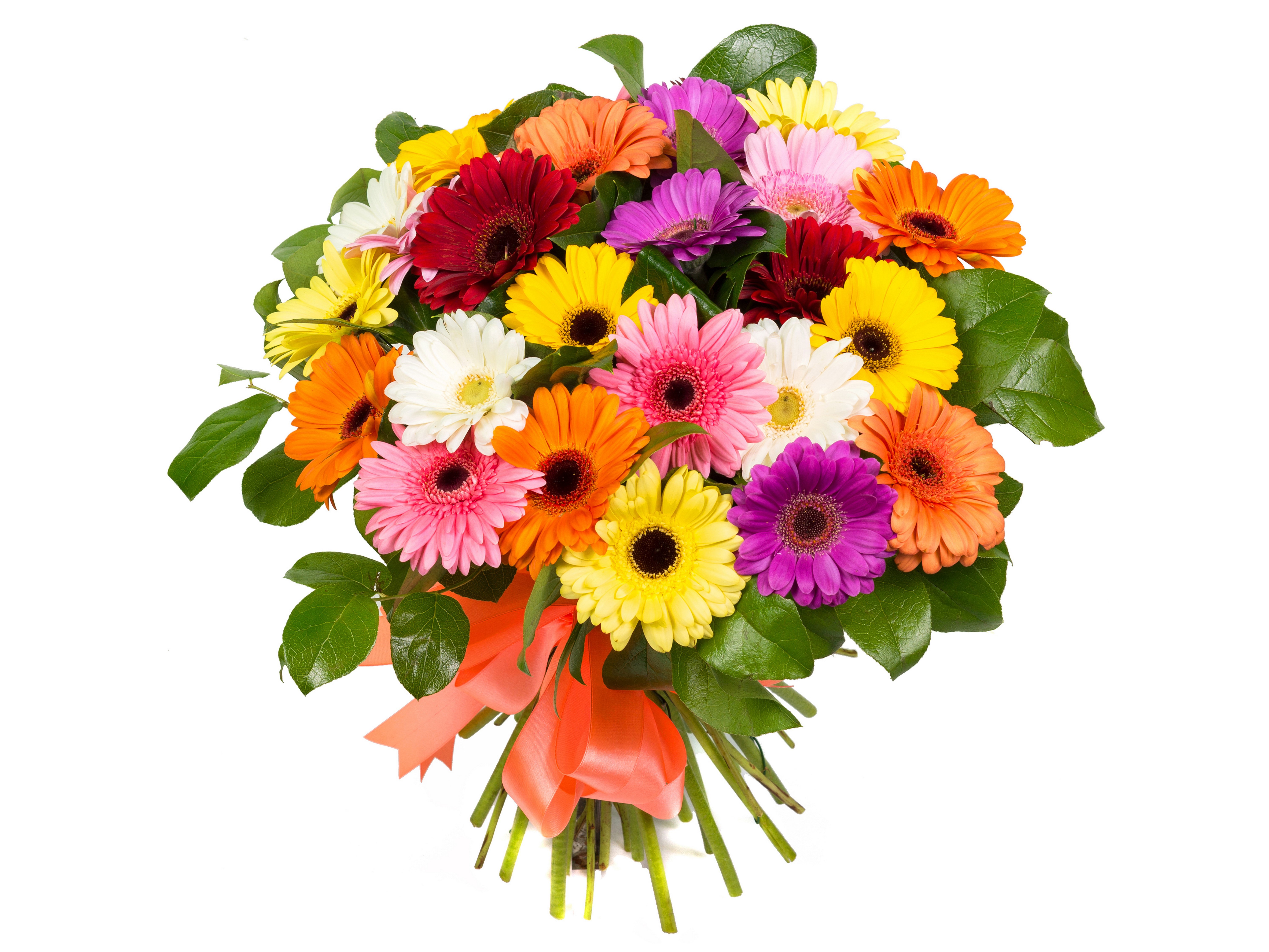 Bouquets of colorful Gerberas HD Wallpaper