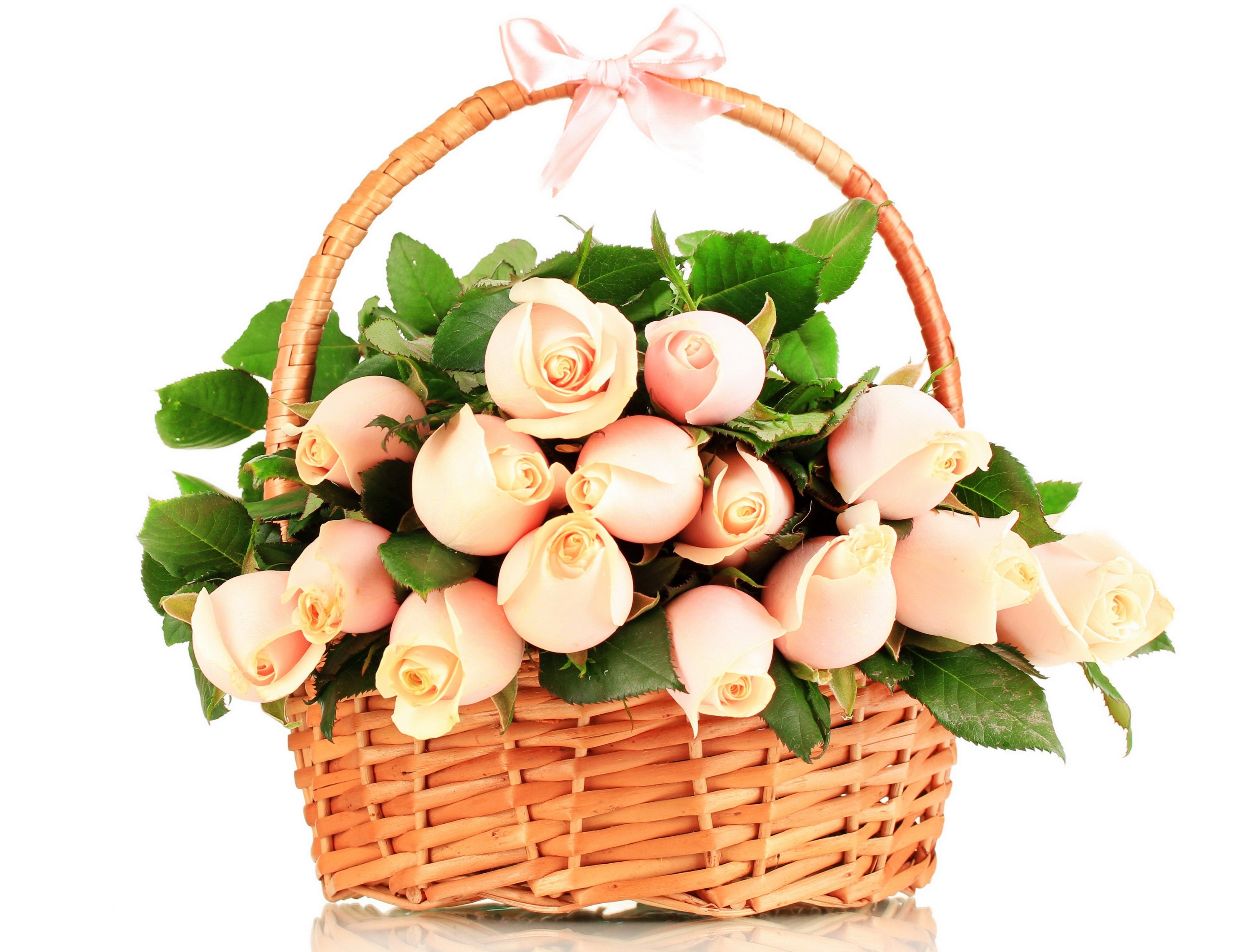Basket of light pink roses with a bow HD Wallpaper