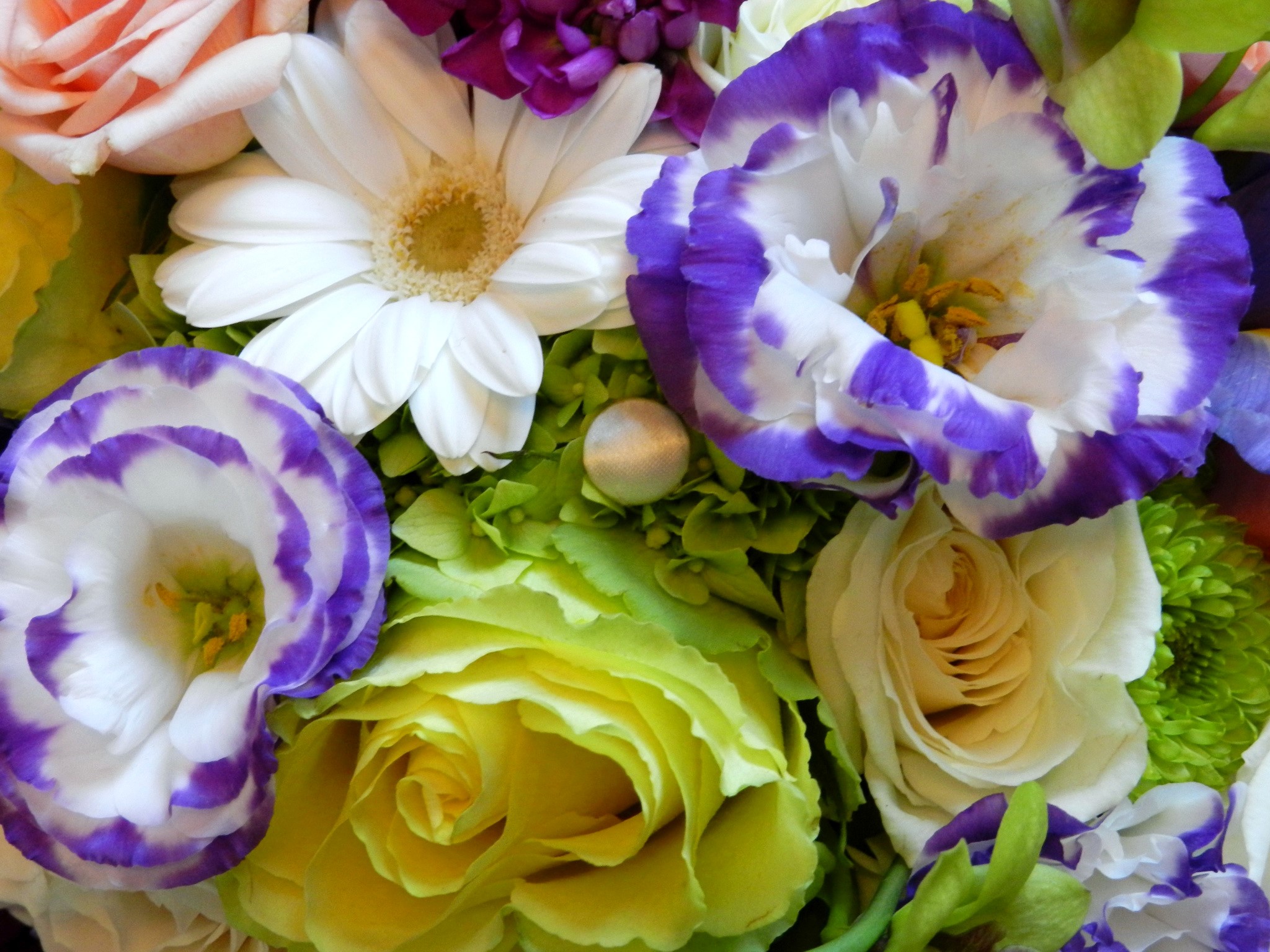 Close-up of a colorful flower arrangement HD Wallpaper