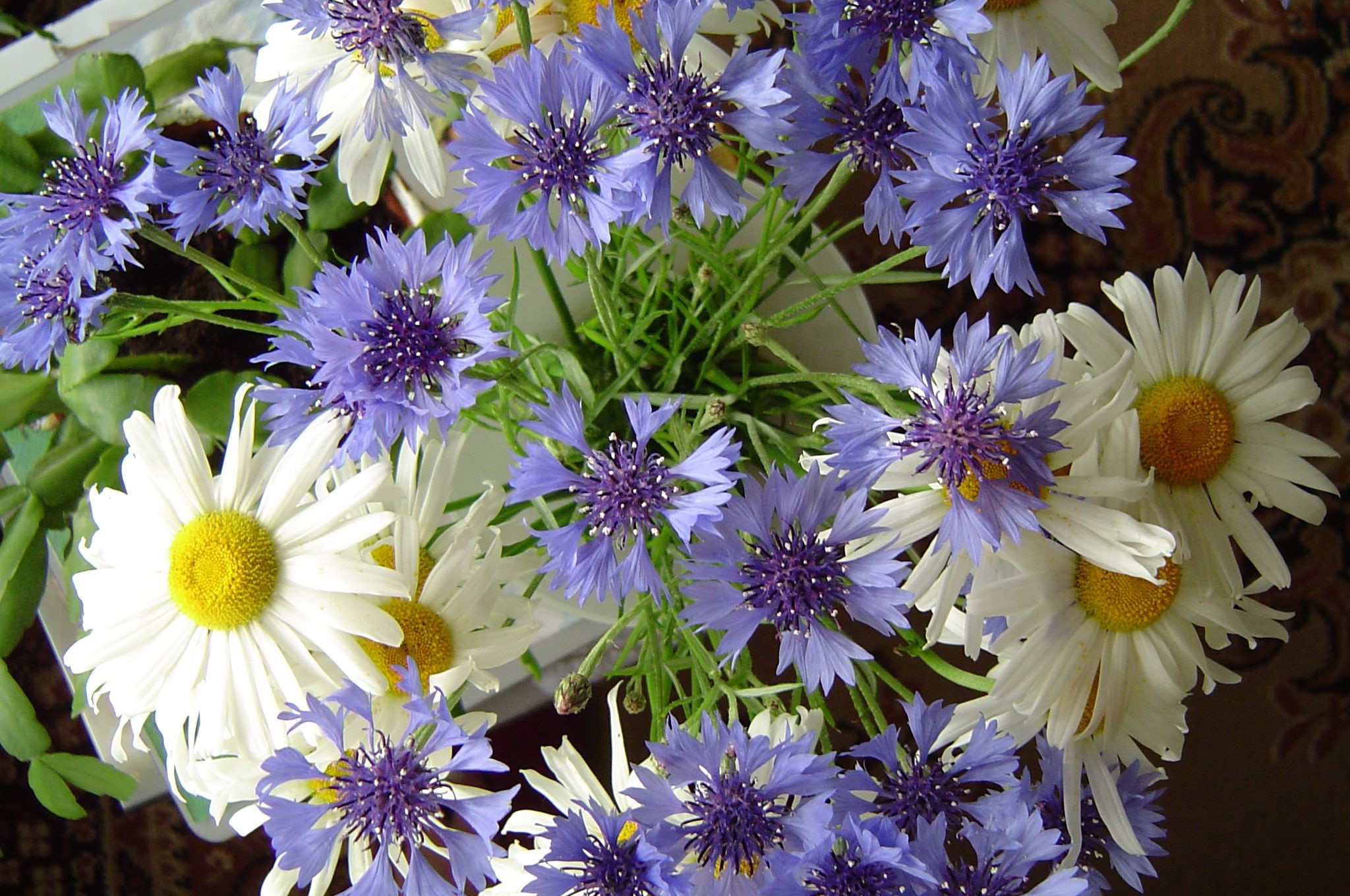 Bouquet of Cornflowers and Daisies HD Wallpaper
