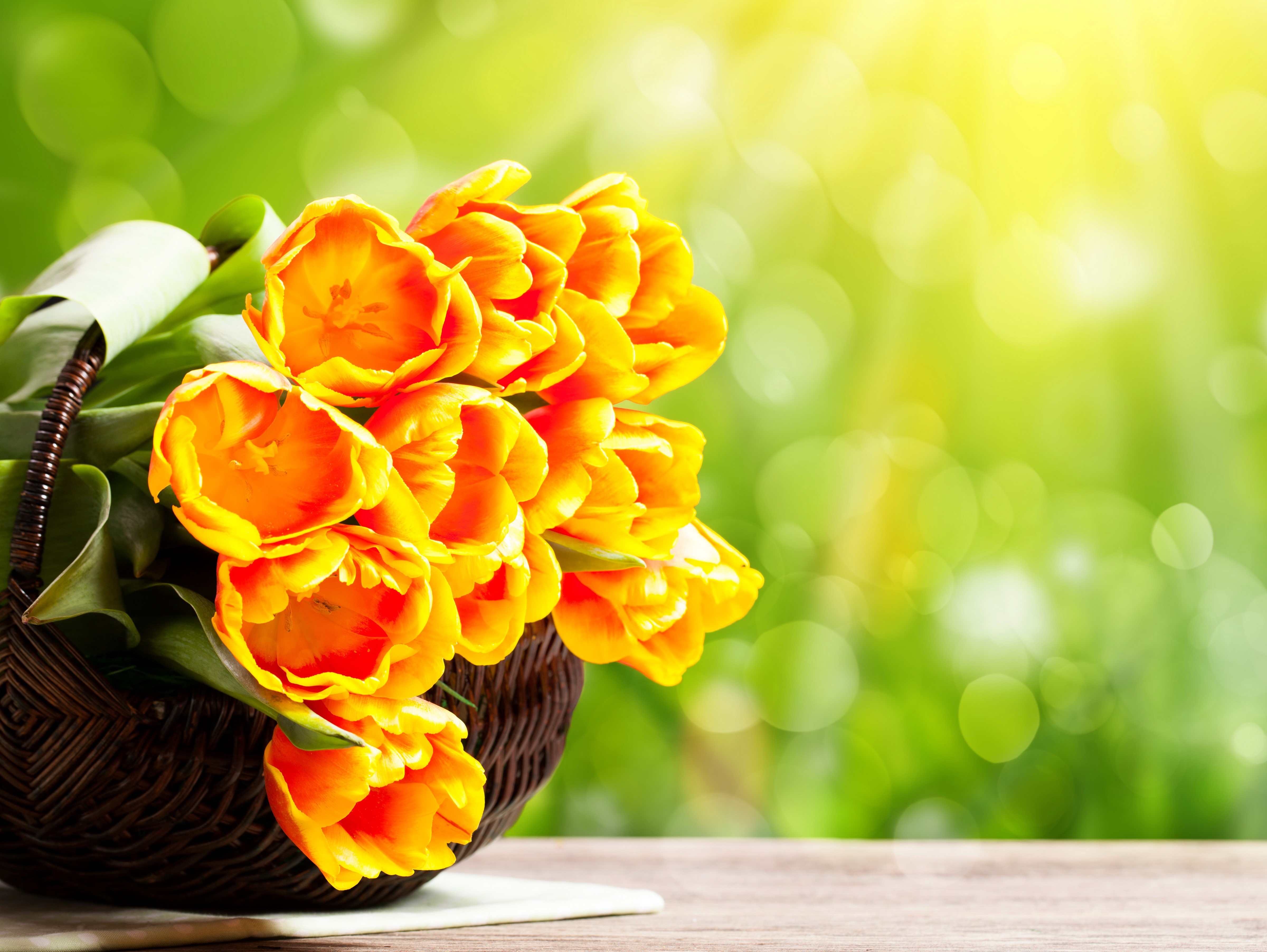 Yellow Tulips in a Wicker Basket HD Wallpaper