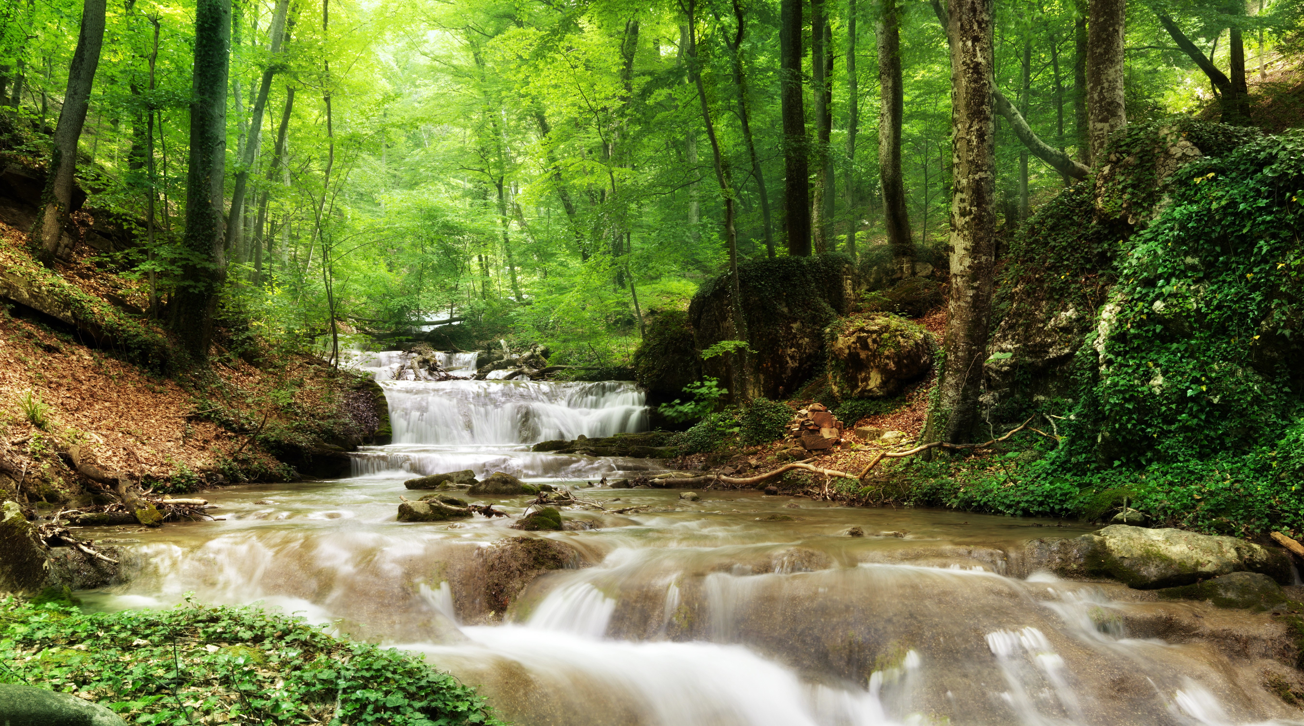 Waterfalls and trees in a lush forest HD Wallpaper