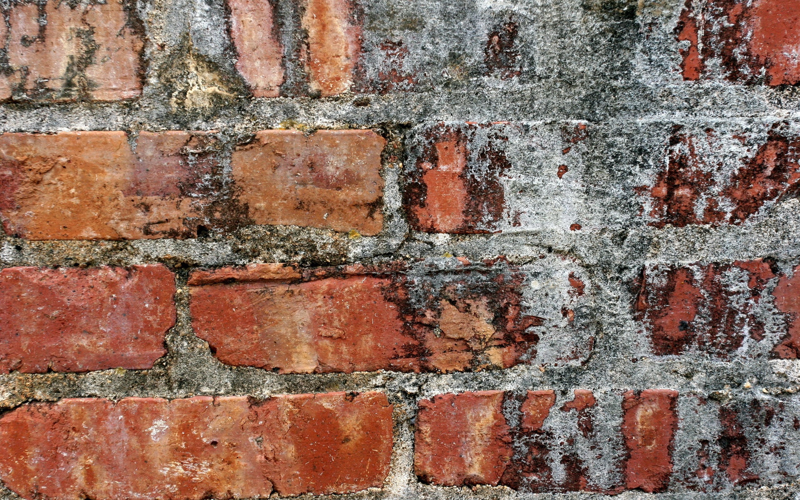 Close-up of a weathered brick wall texture HD Wallpaper