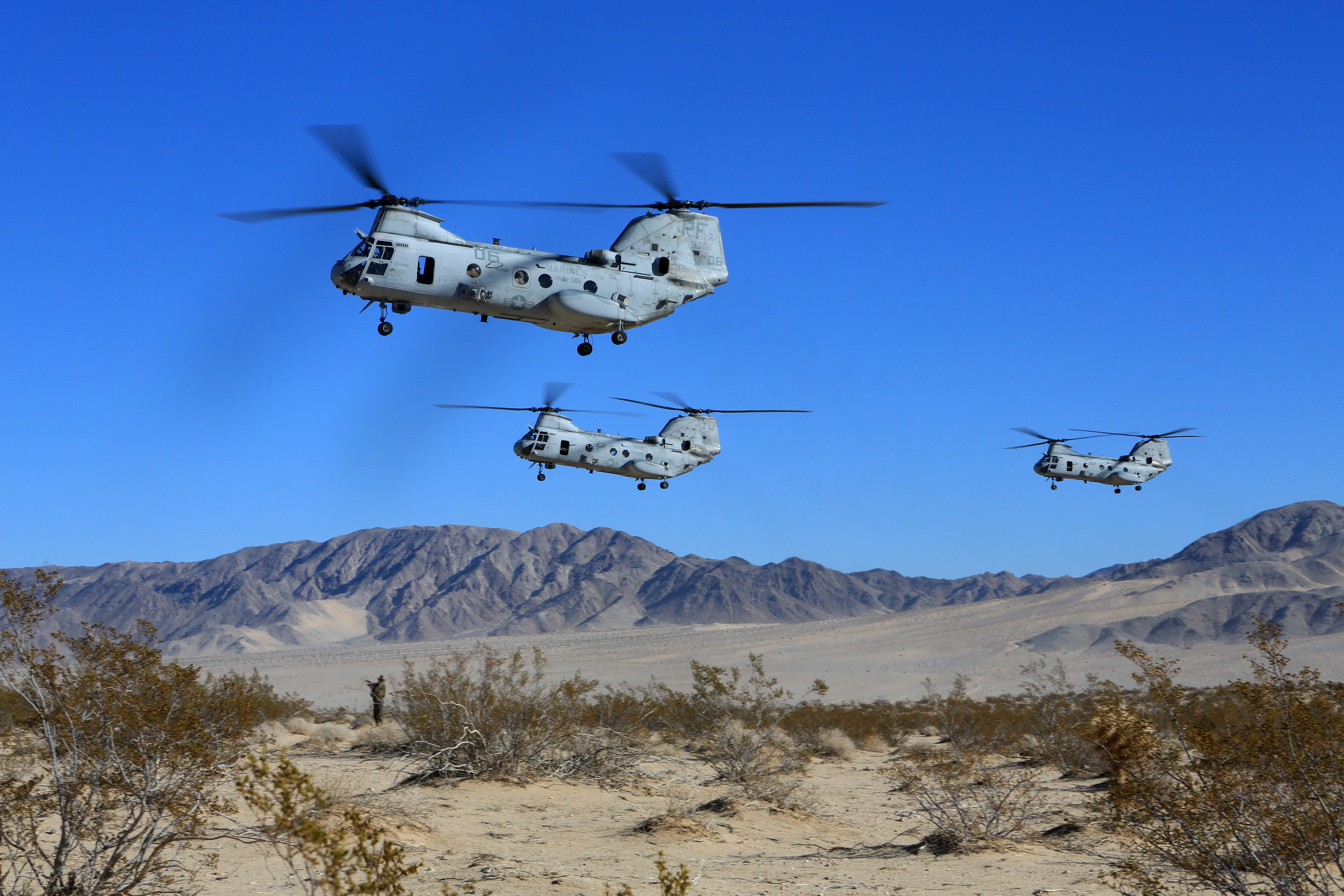 Boeing Vertol CH-46 Helicopters in Flight HD Wallpaper