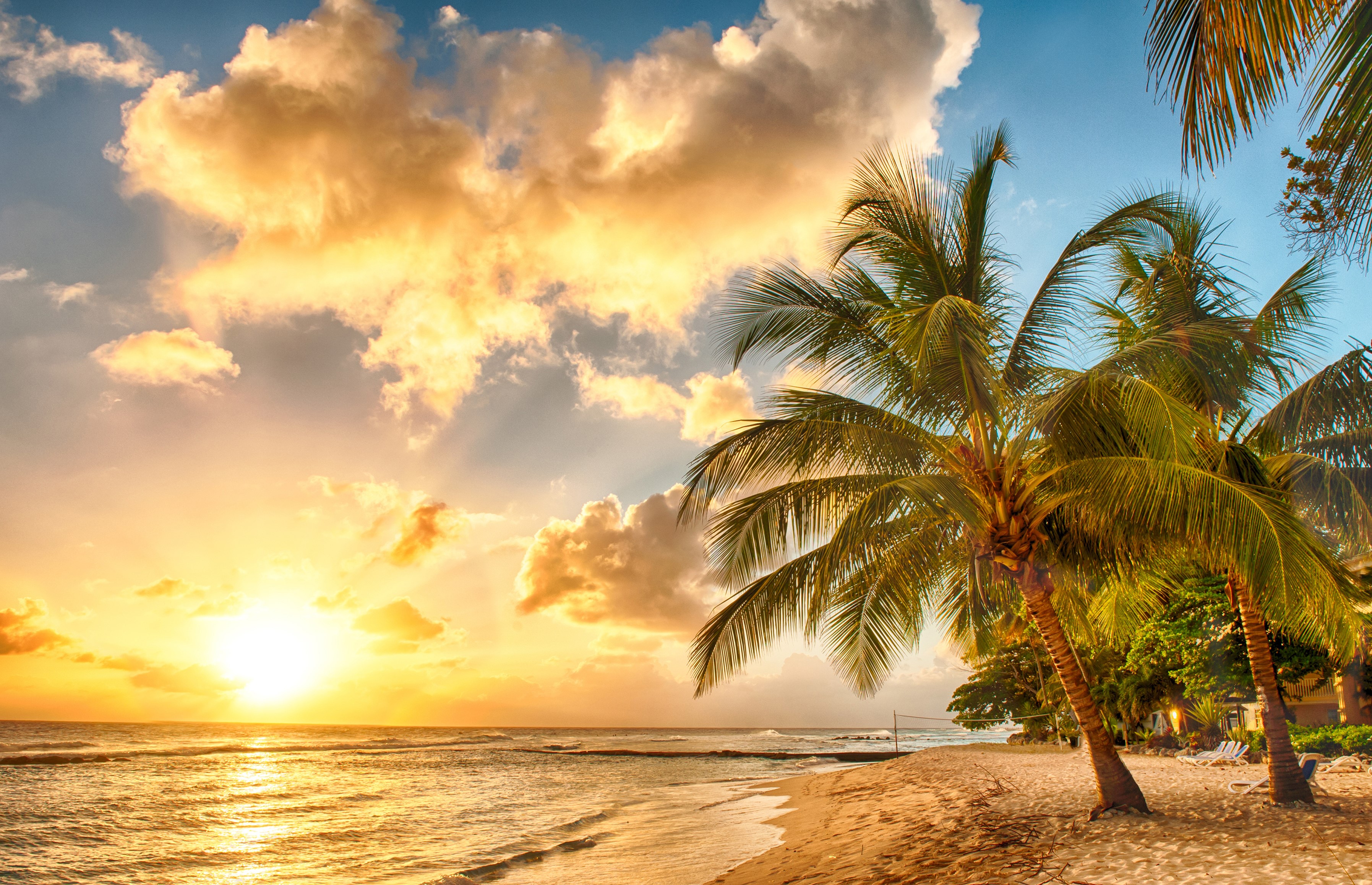 Tropical beach sunset with palm trees and ocean waves HD Wallpaper