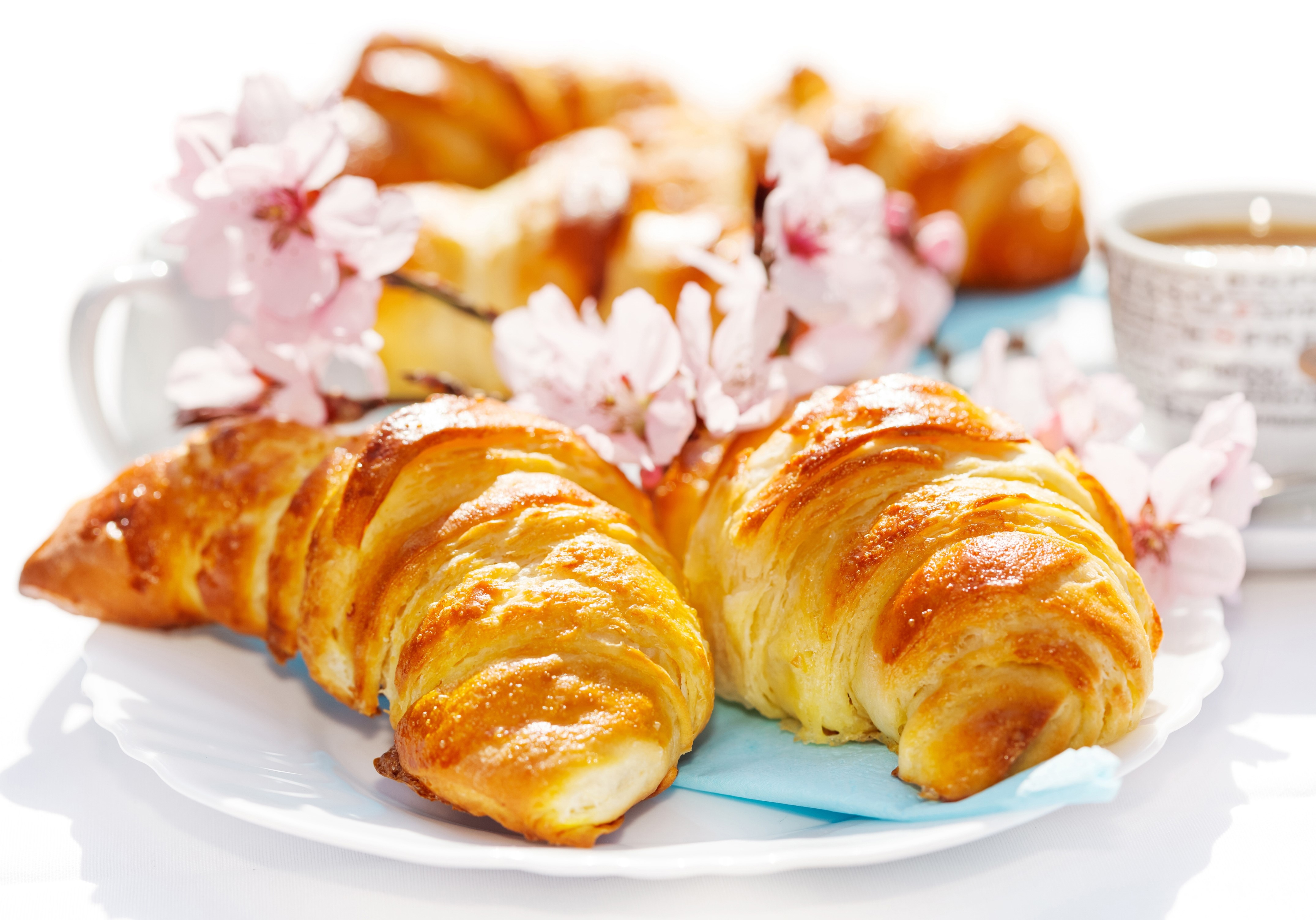 4K Pastry Croissants with Pink Flowers HD Wallpaper