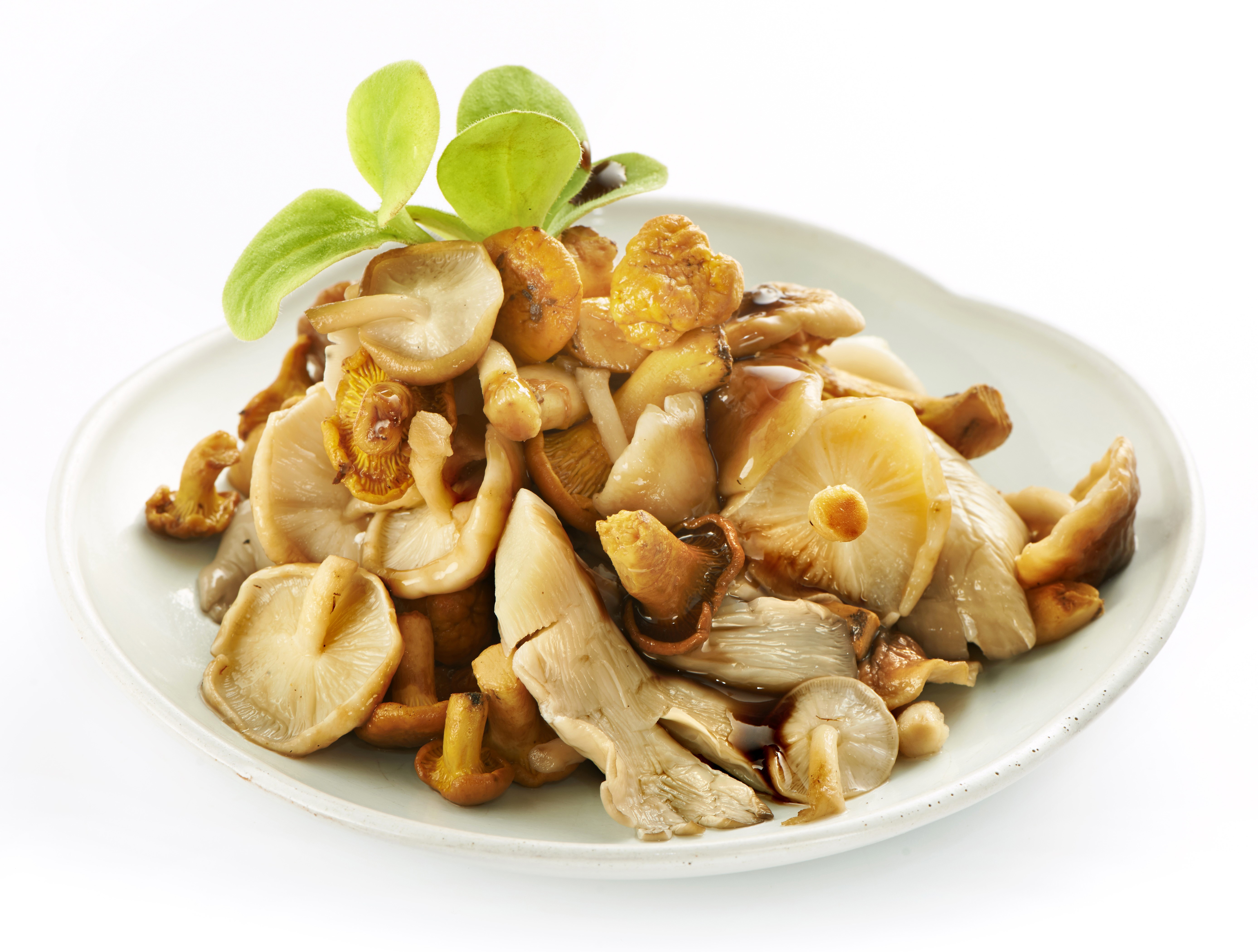 Plate of Mushrooms HD Wallpaper