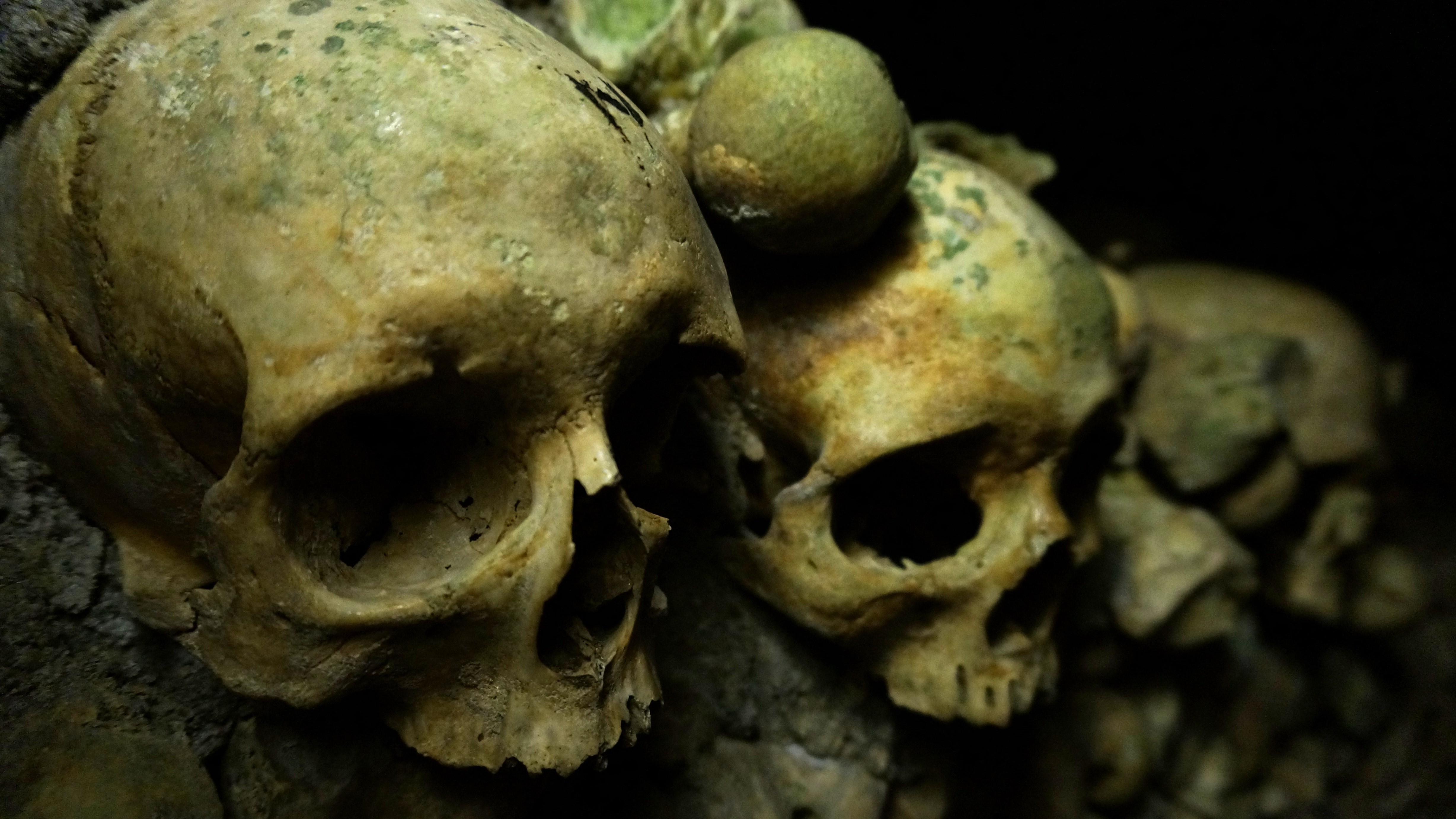 Many skulls in a dark place HD Wallpaper