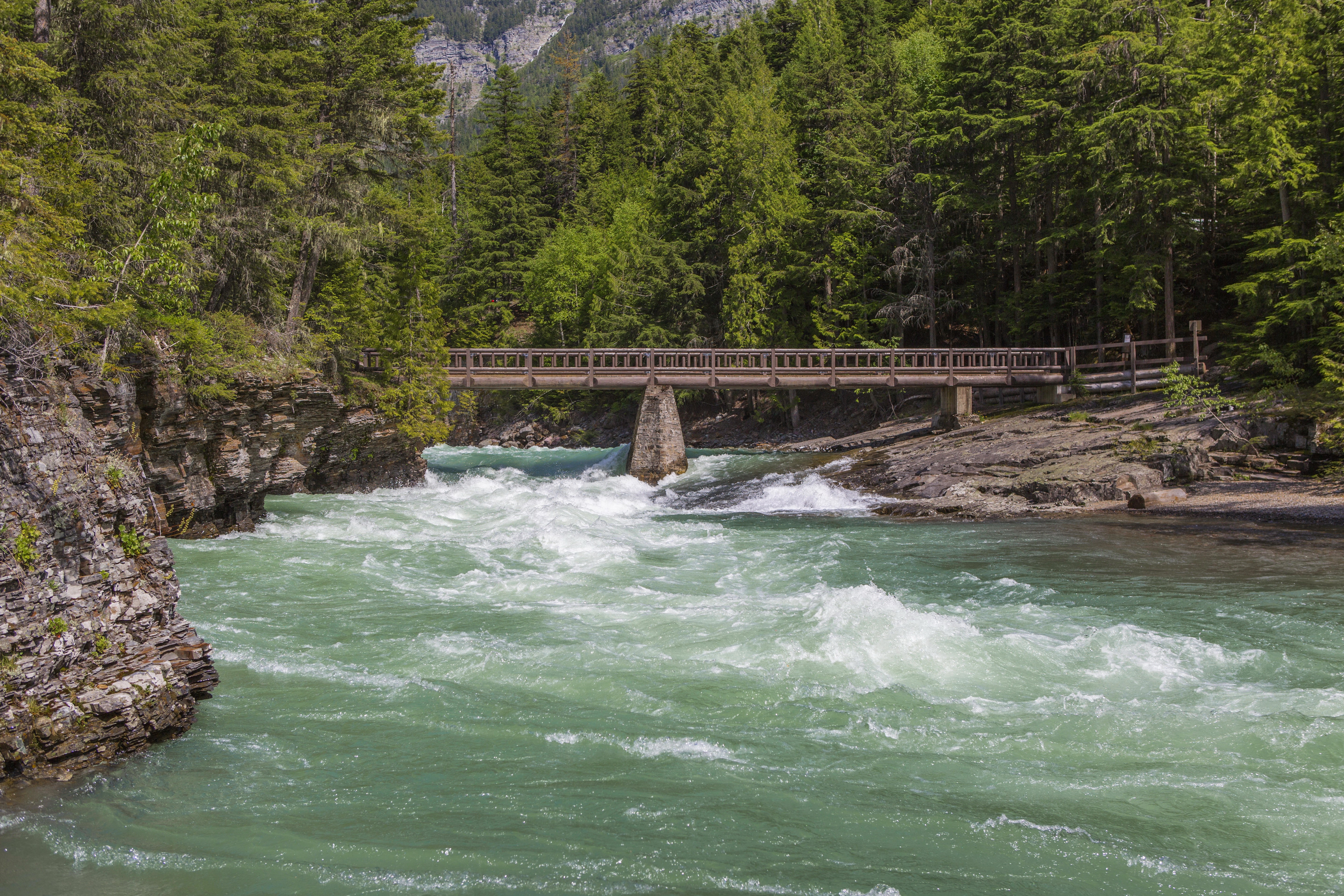 Bridge over a river in Glacier National Park, Montana, USA HD Wallpaper
