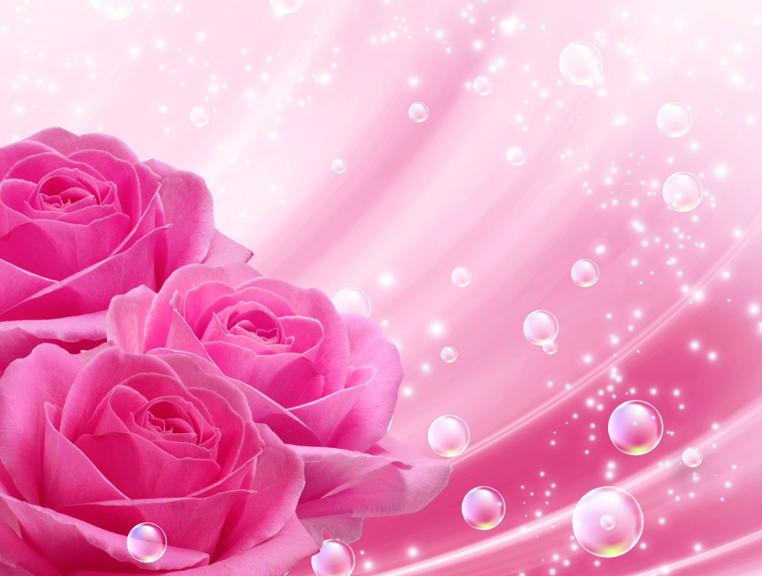 Pink Roses with Bubbles and Sparkles HD Wallpaper