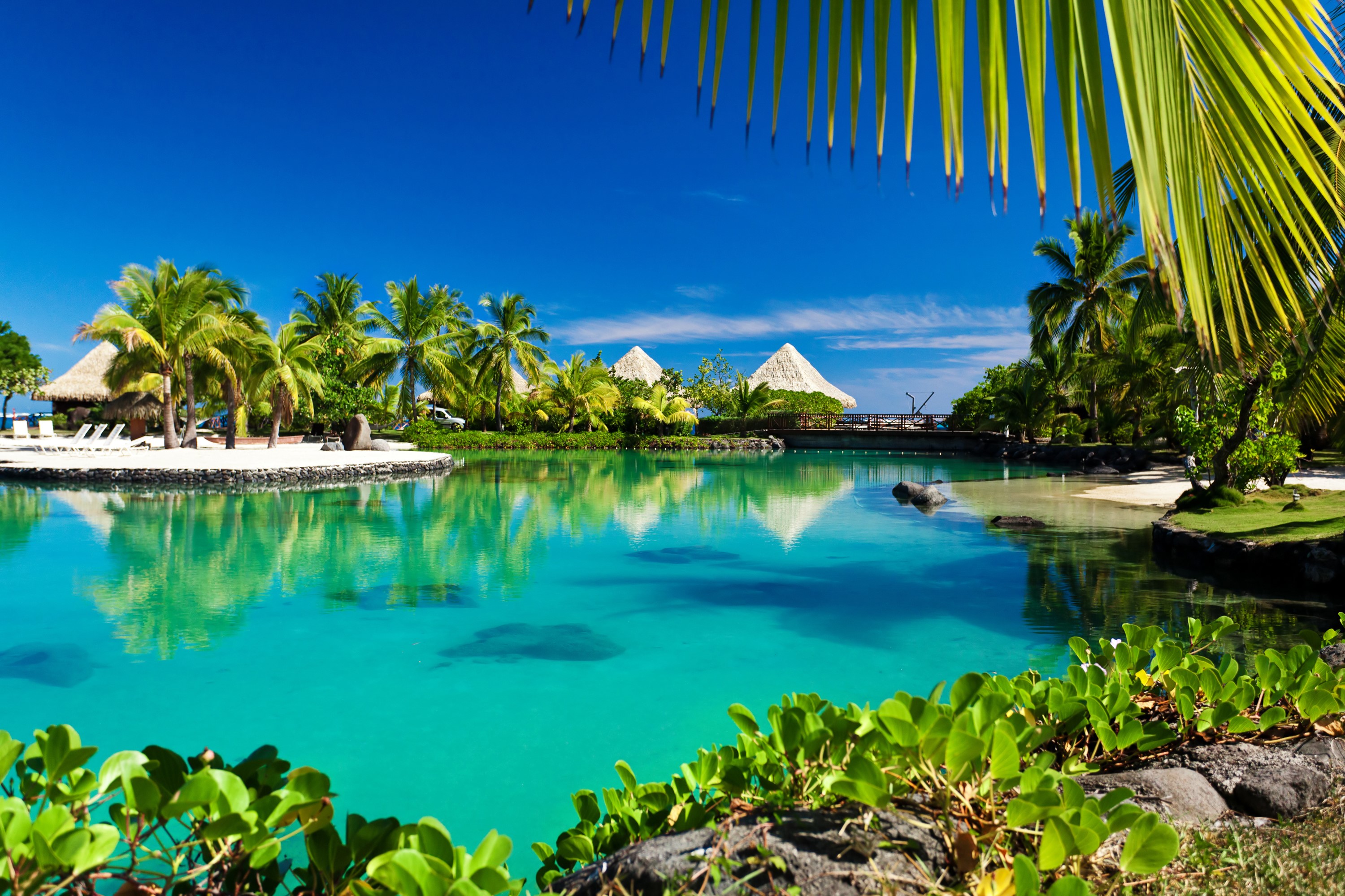 Tropical resort with bungalows and palm trees in Bora Bora HD Wallpaper